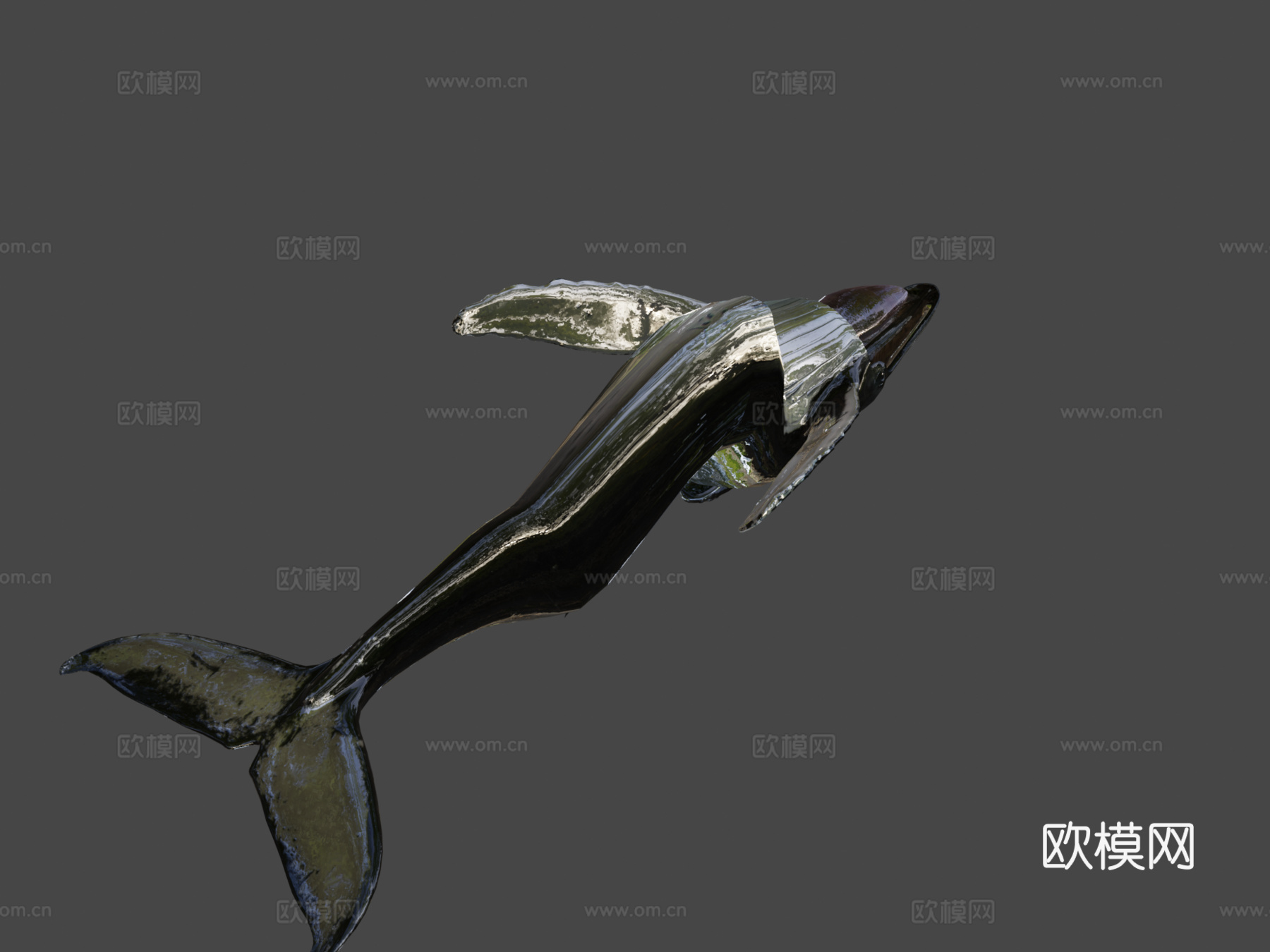 座头鲸3d模型