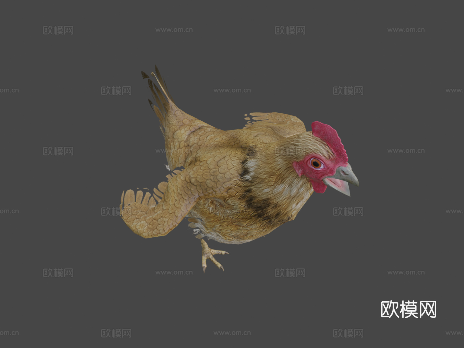 小鸡动画3d模型