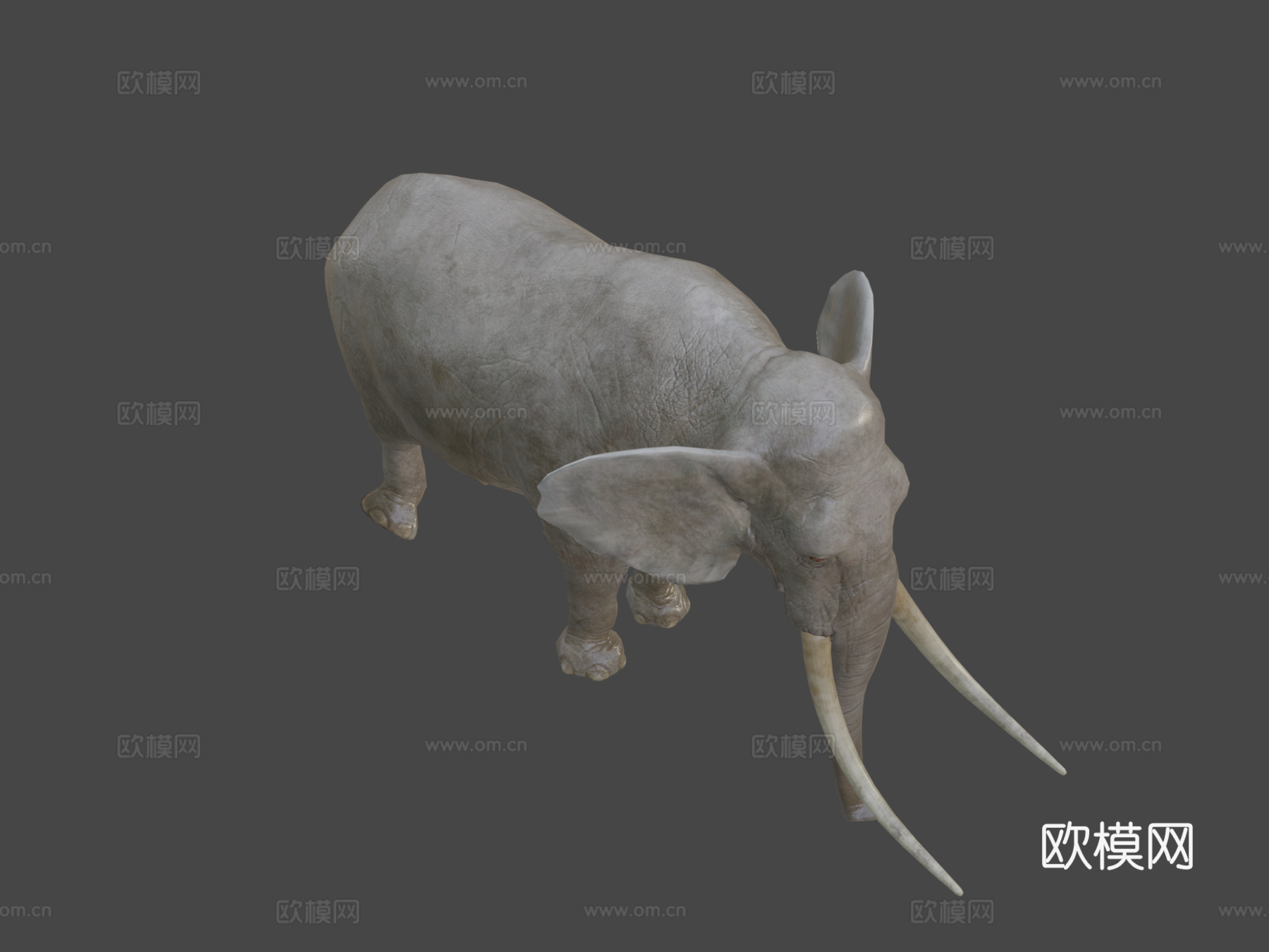 大象动画3d模型