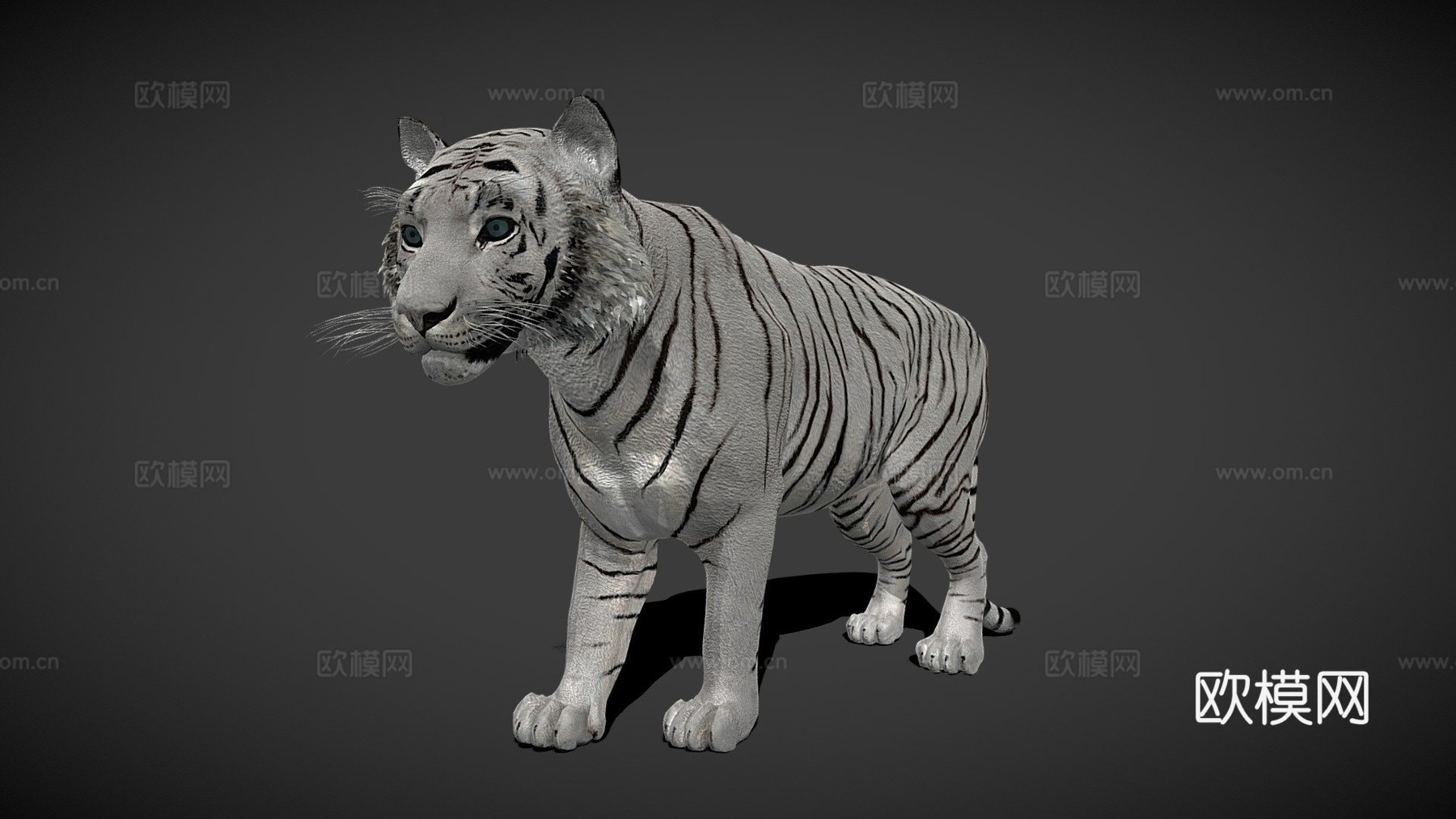 白虎3d模型