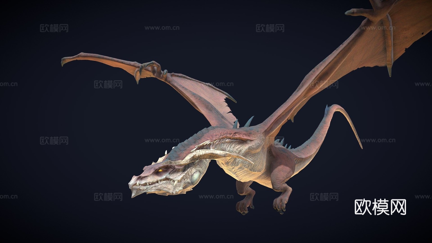 动画龙三种动作循环3d模型
