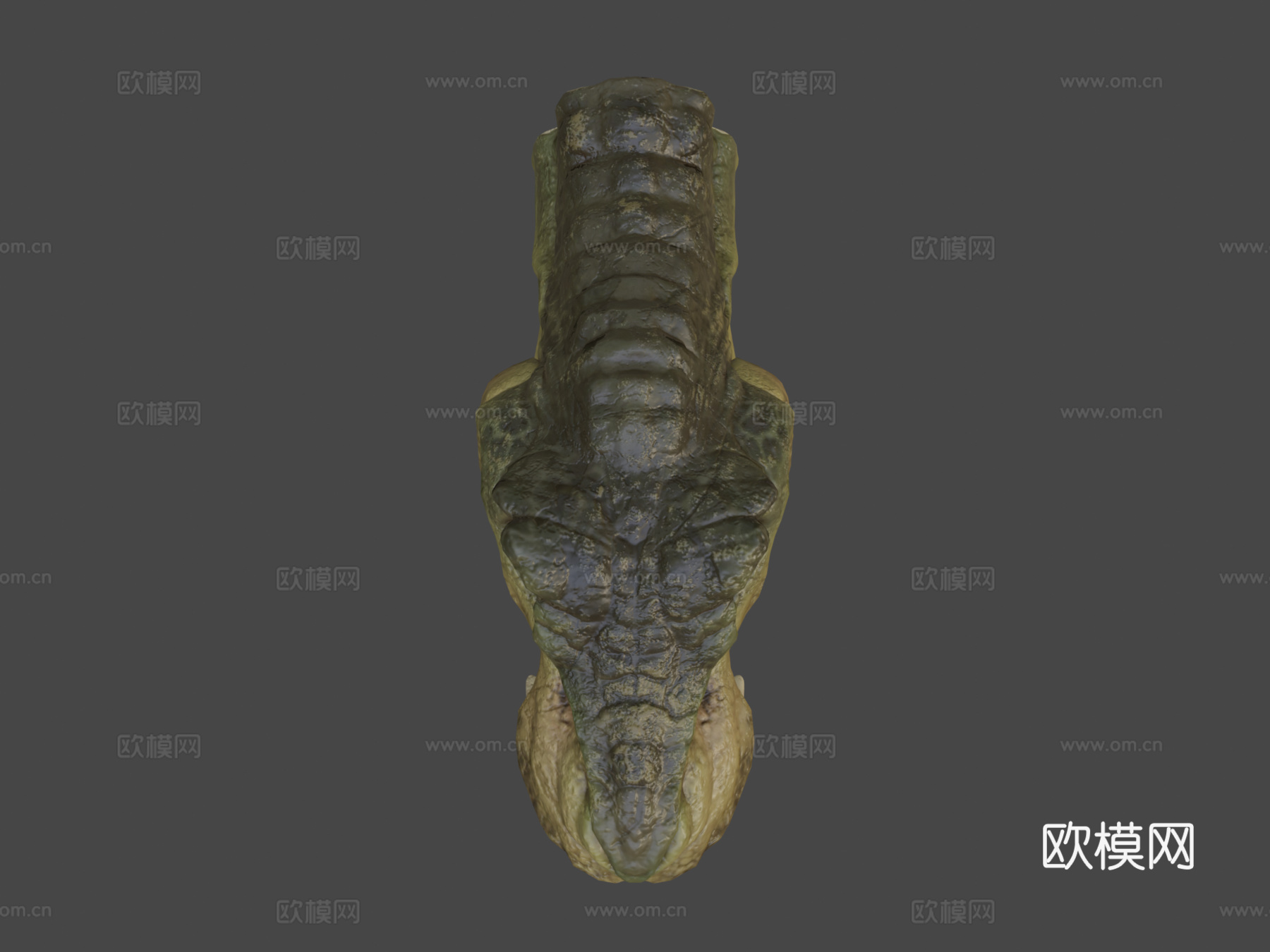 霸王龙3d模型
