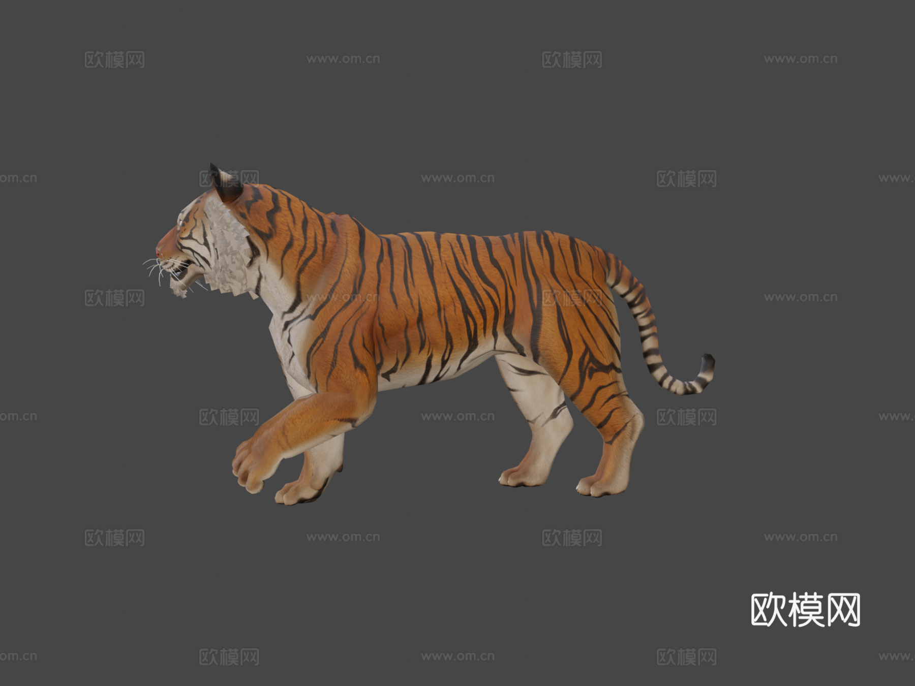 孟加拉虎3d模型