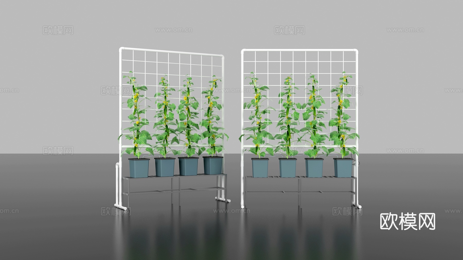 现代 黄瓜水培设备 黄瓜种植设备 水培蔬菜 栽培设备 种植箱3d模型