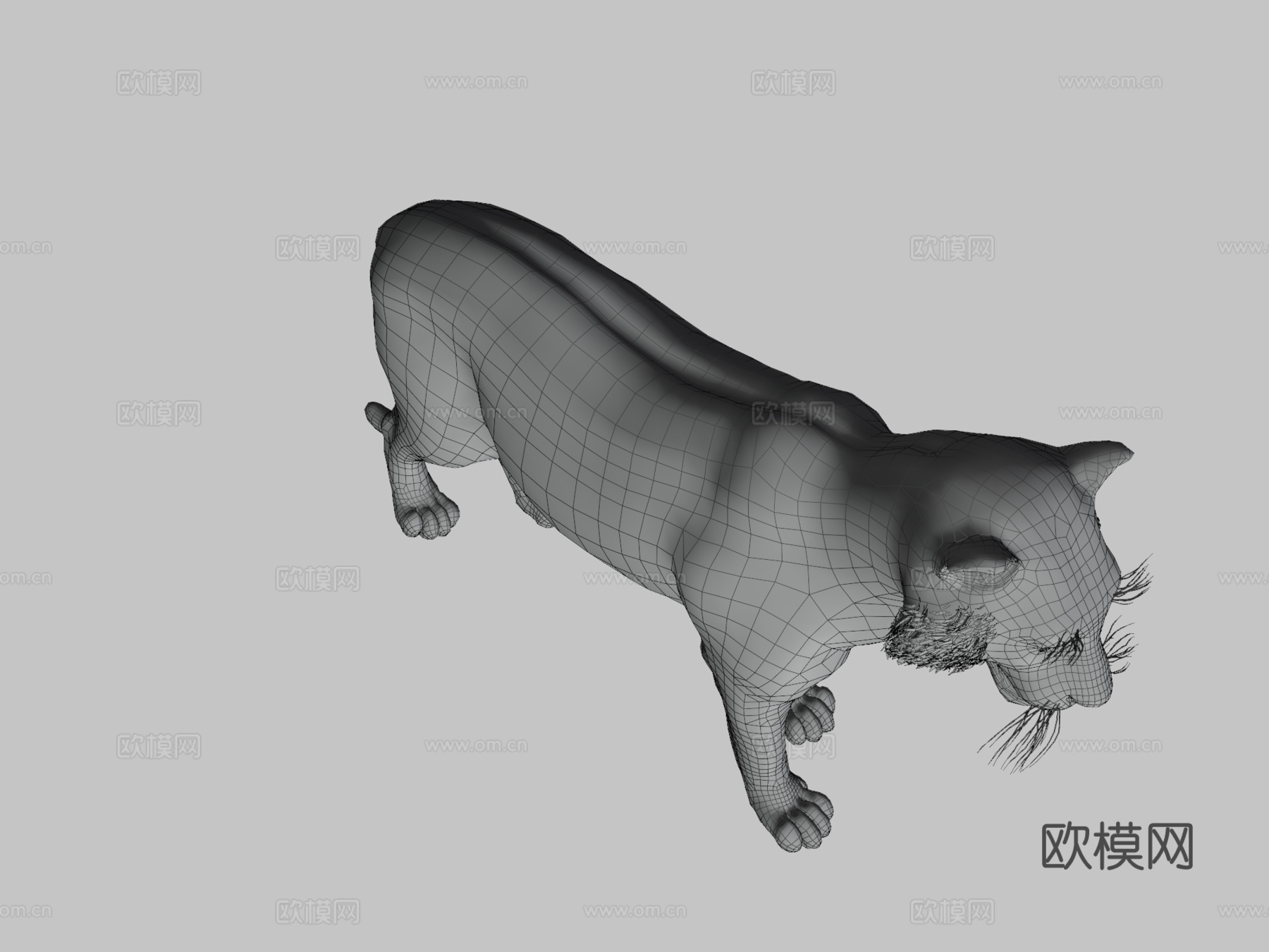 白虎3d模型