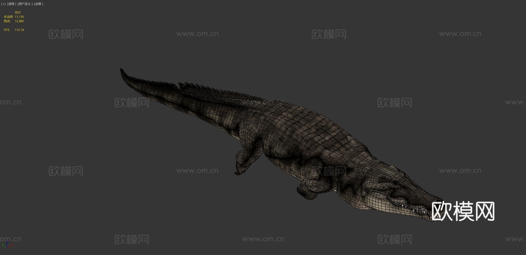 尼罗鳄游泳3d模型