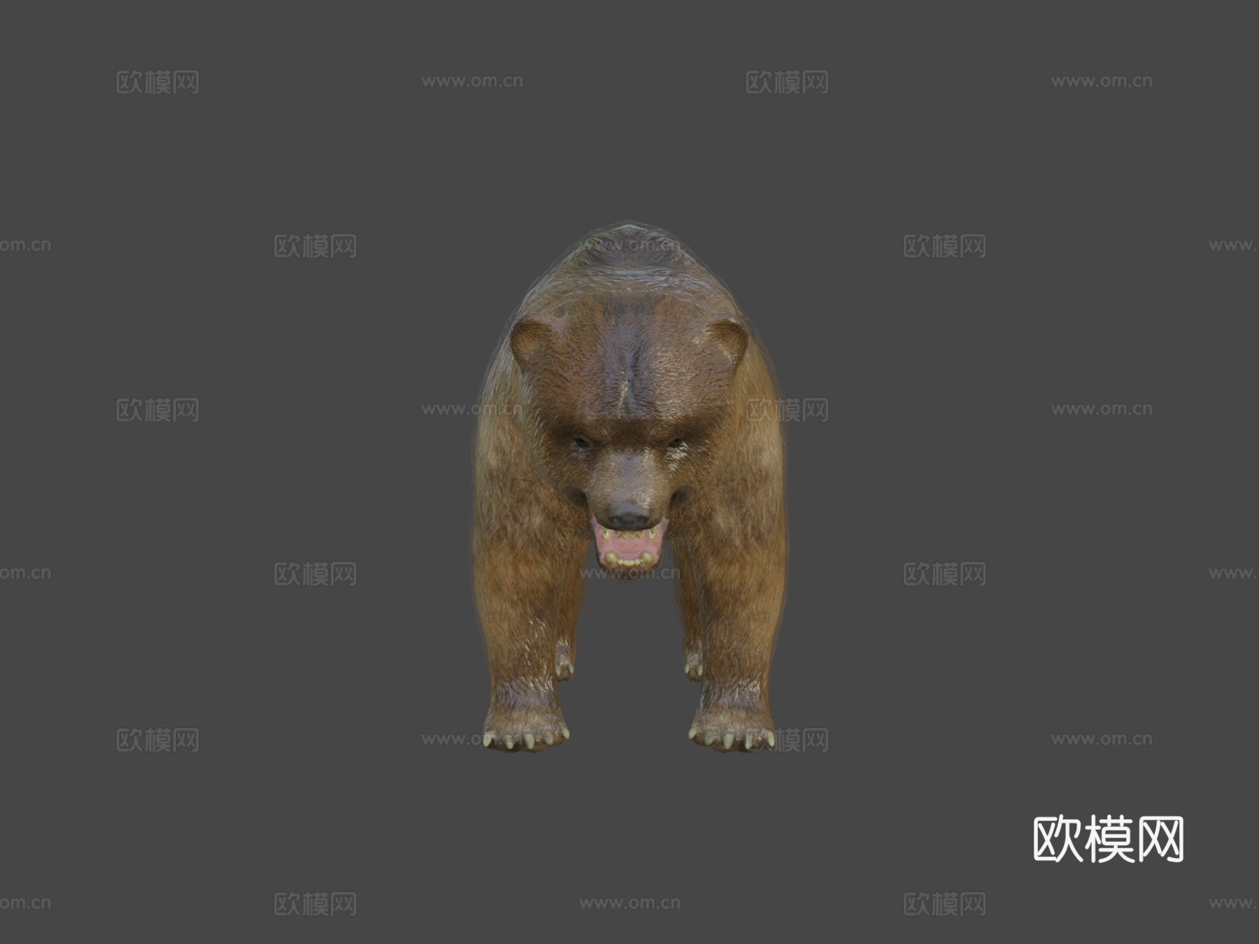 熊动画3d模型