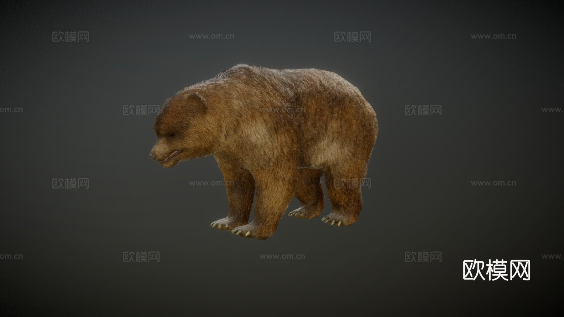 熊动画3d模型