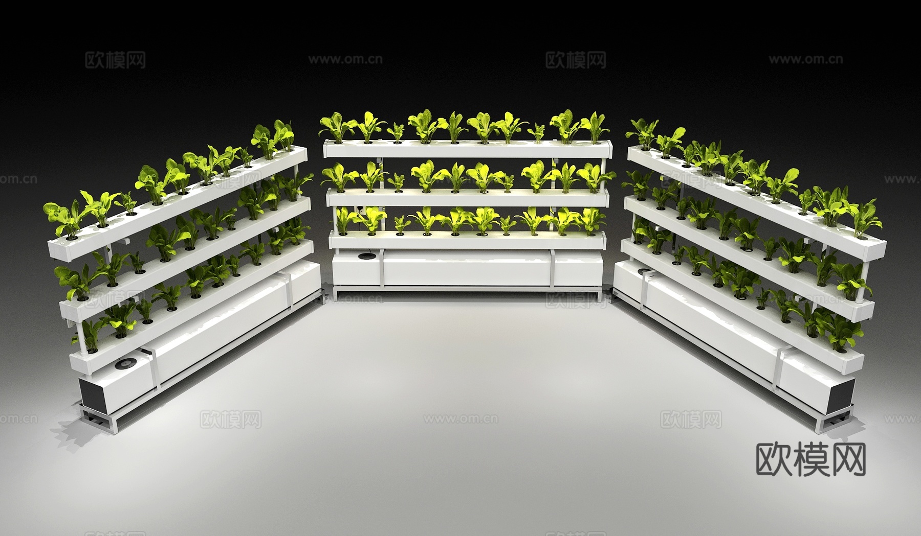 现代 无土栽培设备 水培种植 水培蔬菜 栽培设备3d模型