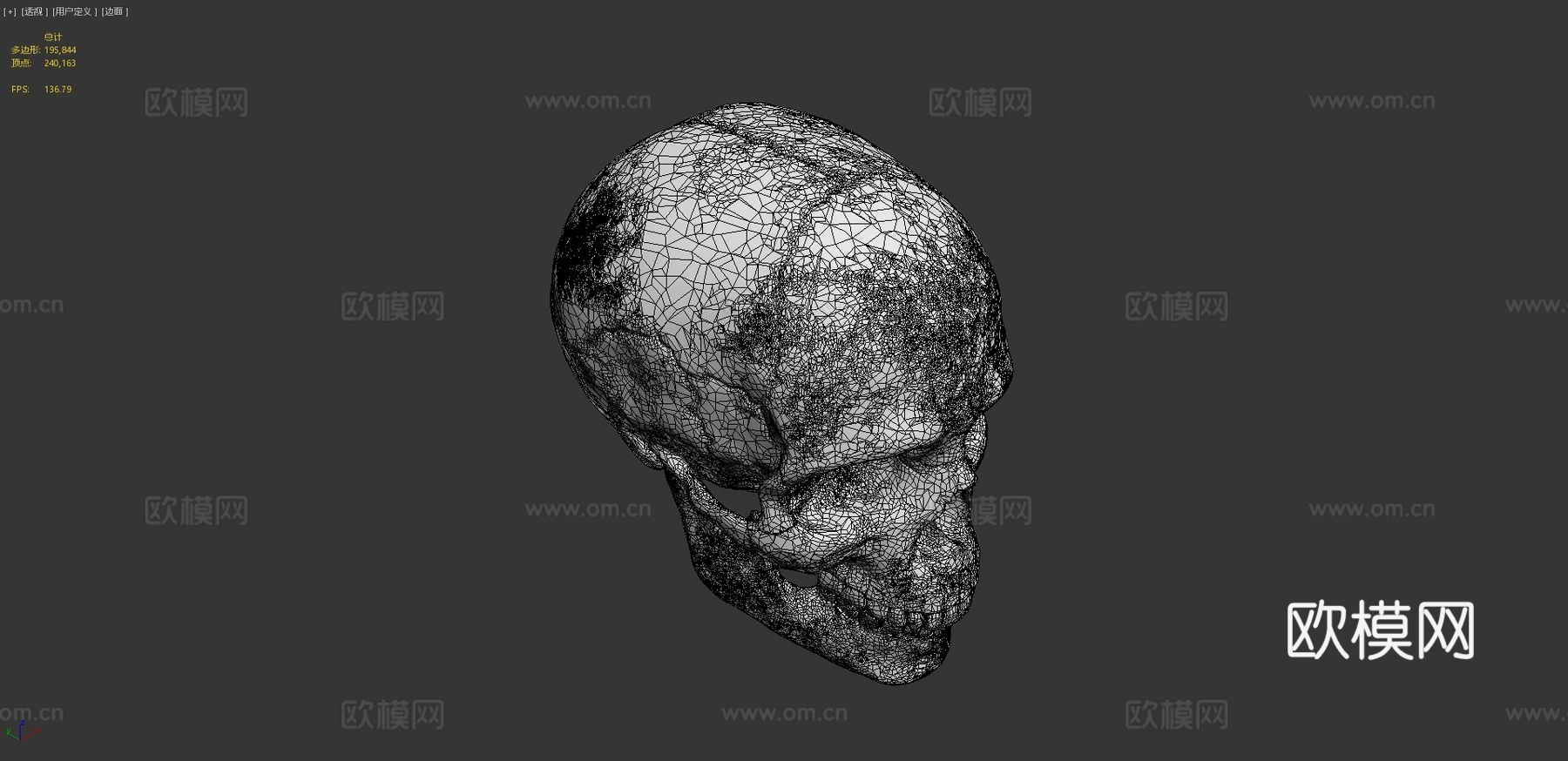 人类头骨-人类颅骨3d模型