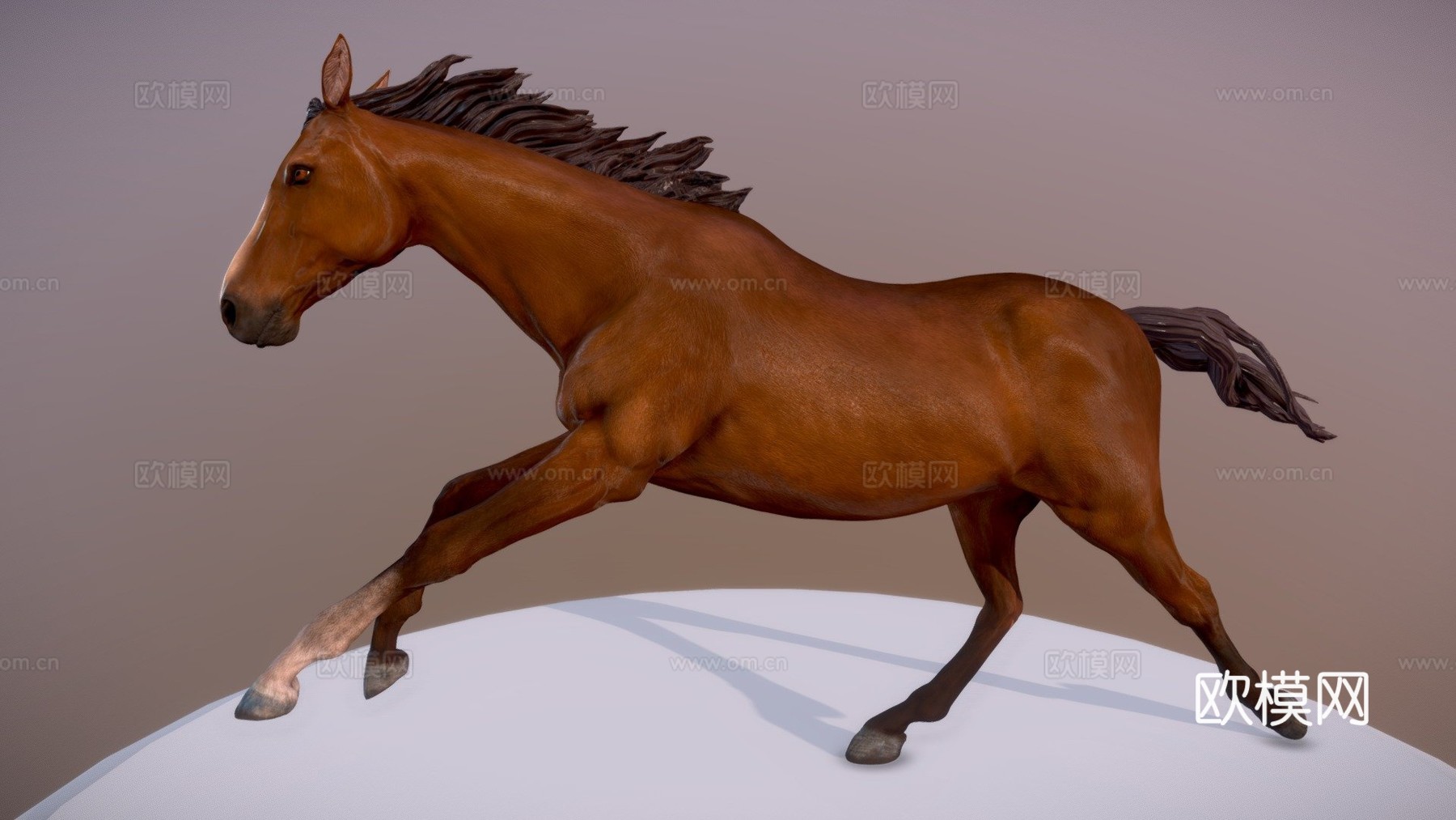 奔跑的马3d模型