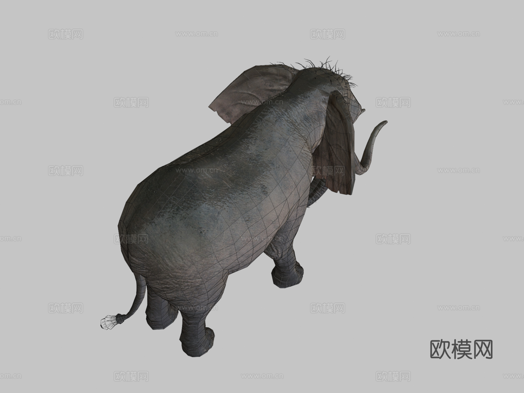 大象待机动画3d模型