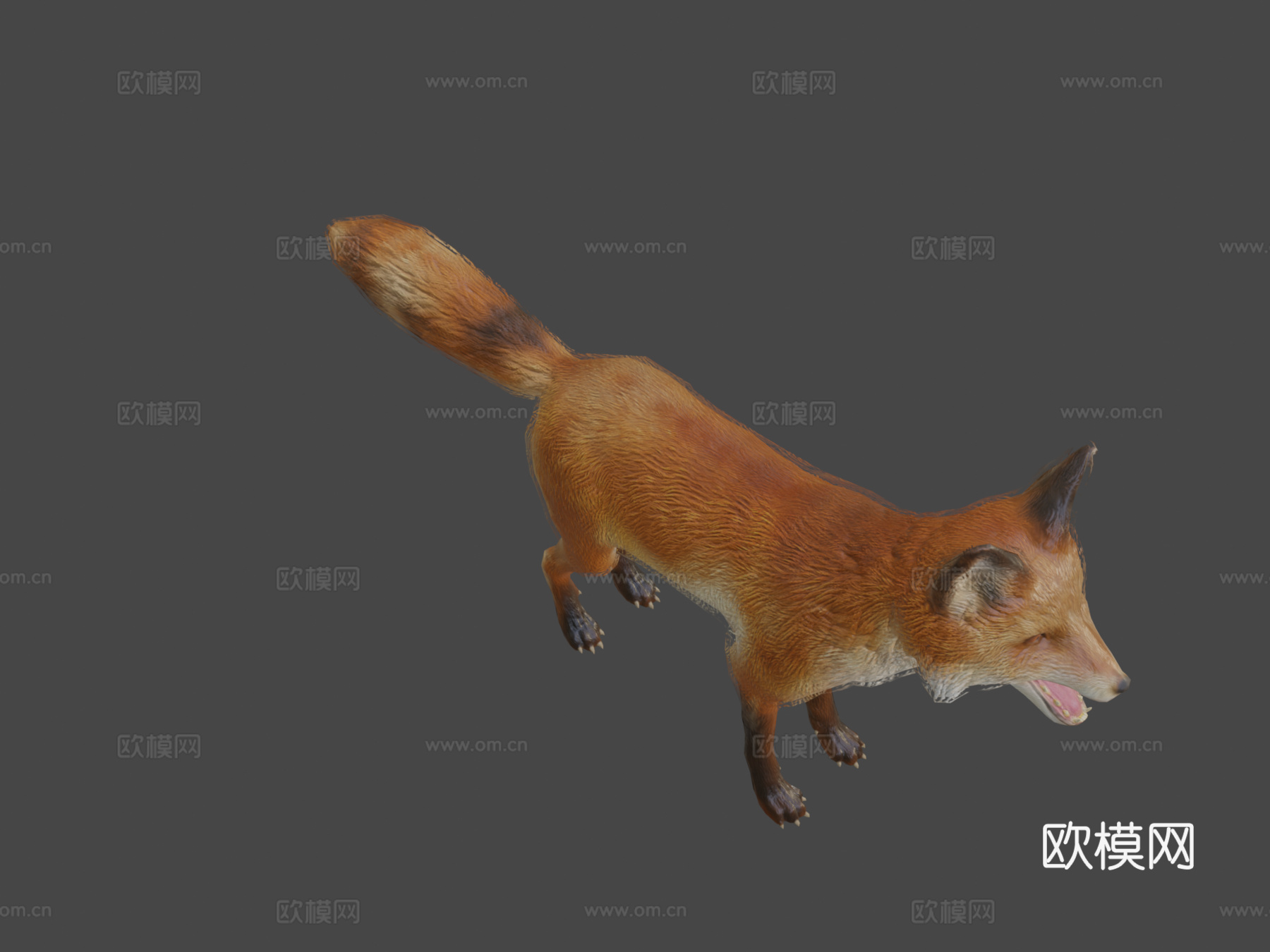 狐狸动画3d模型