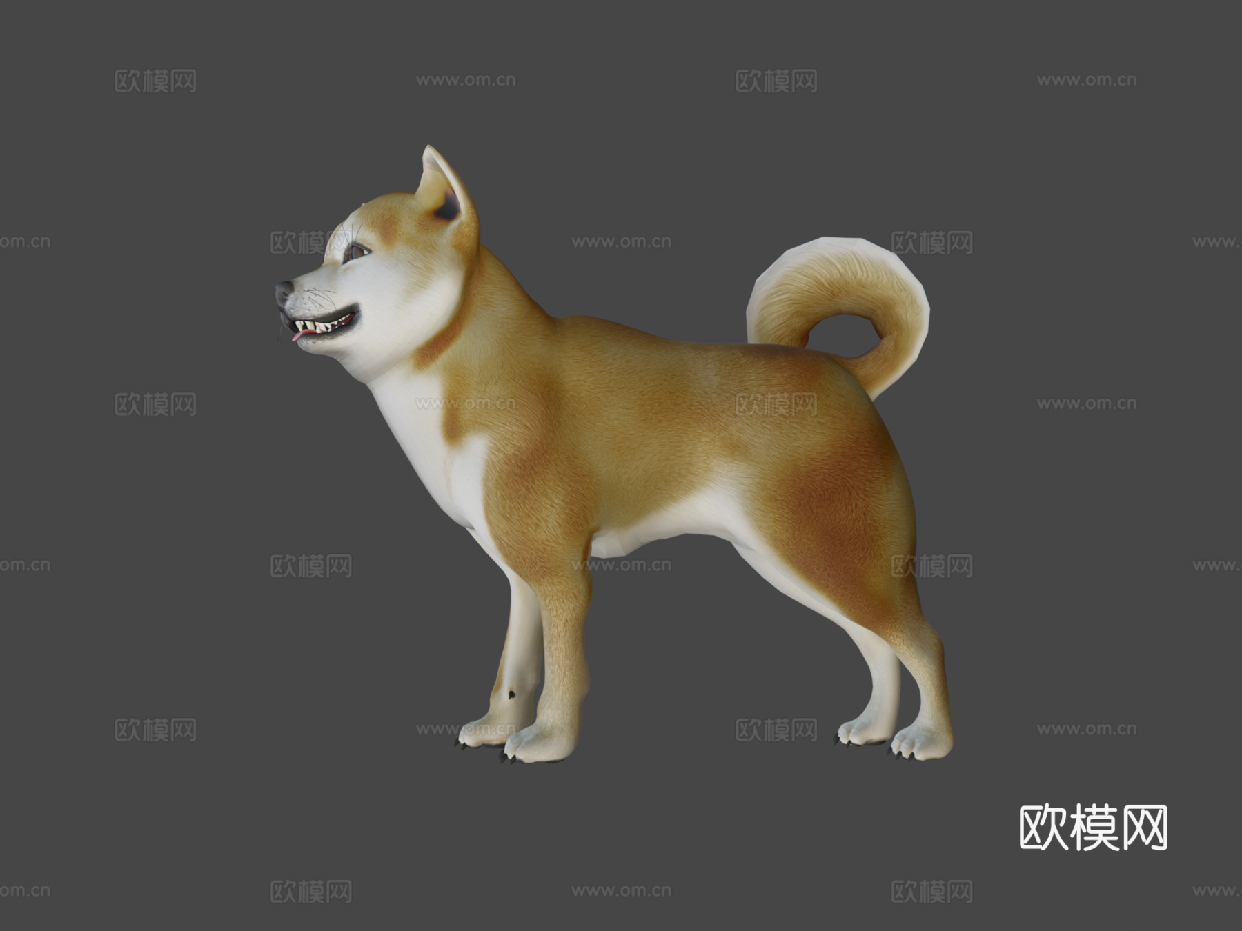 动画狗，柴犬3d模型
