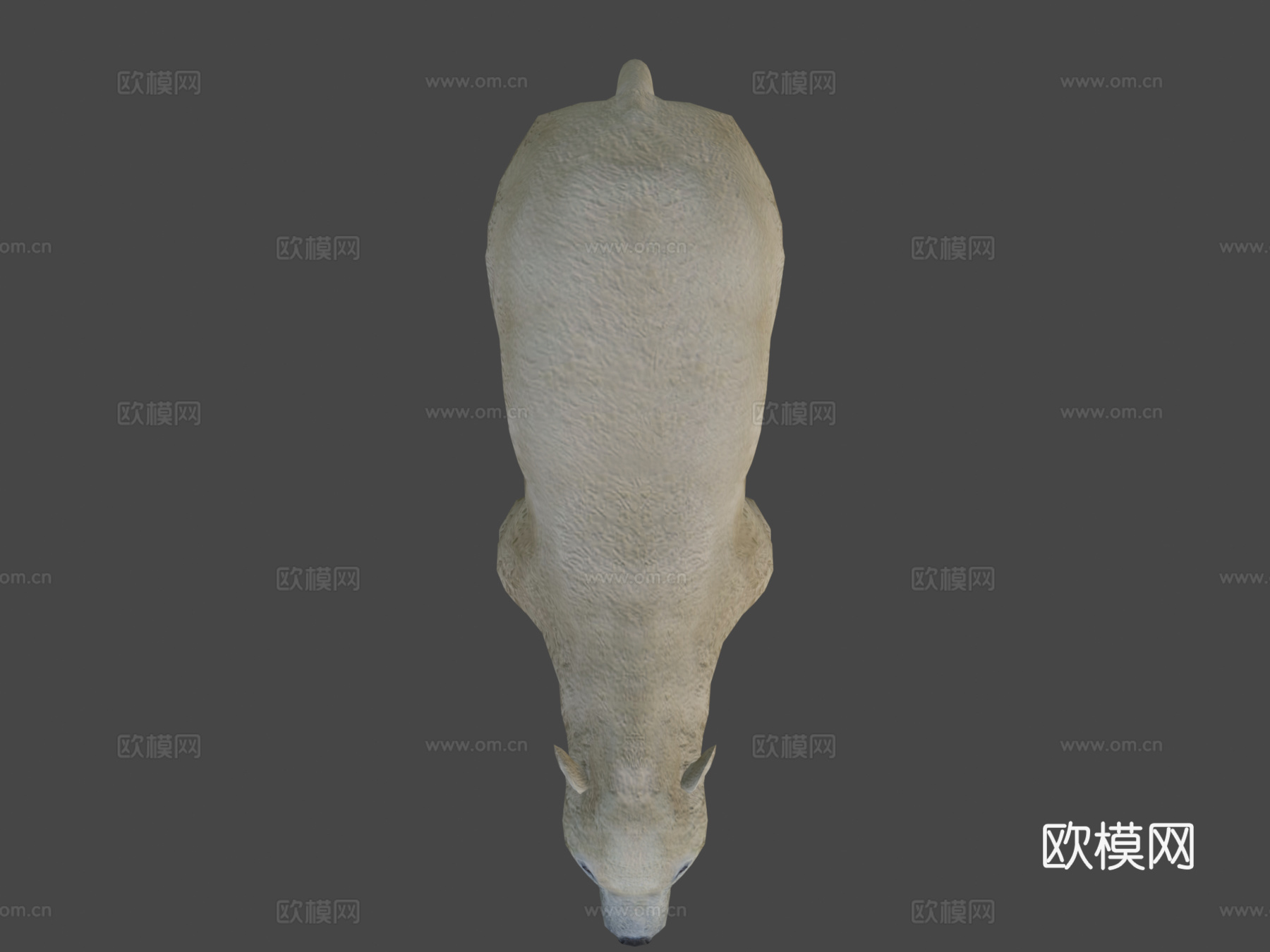 北极熊3d模型