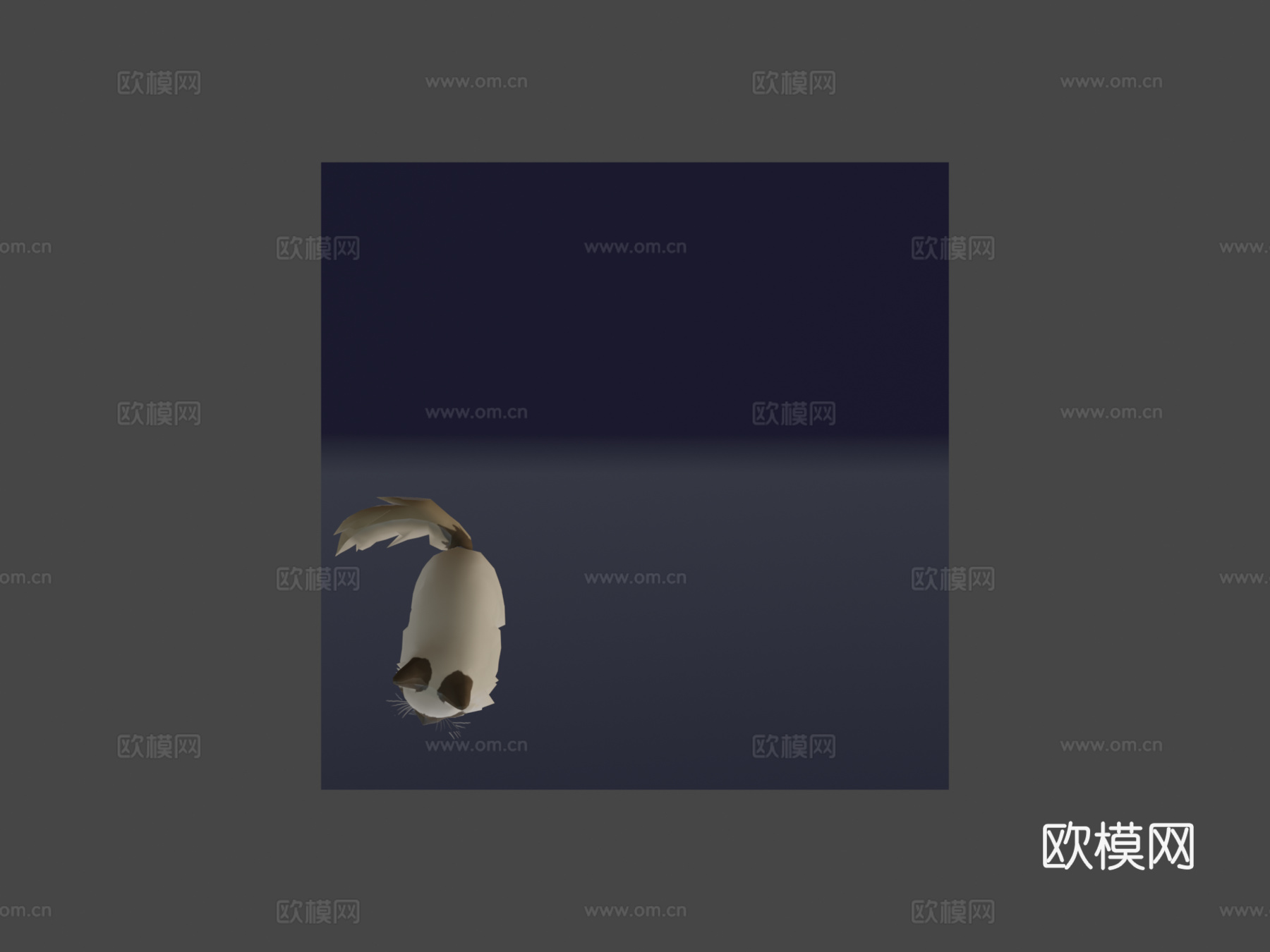 玛雅-伯曼猫3d模型