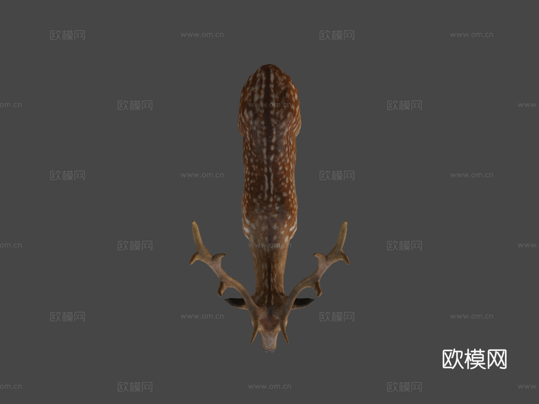 雄鹿3d模型