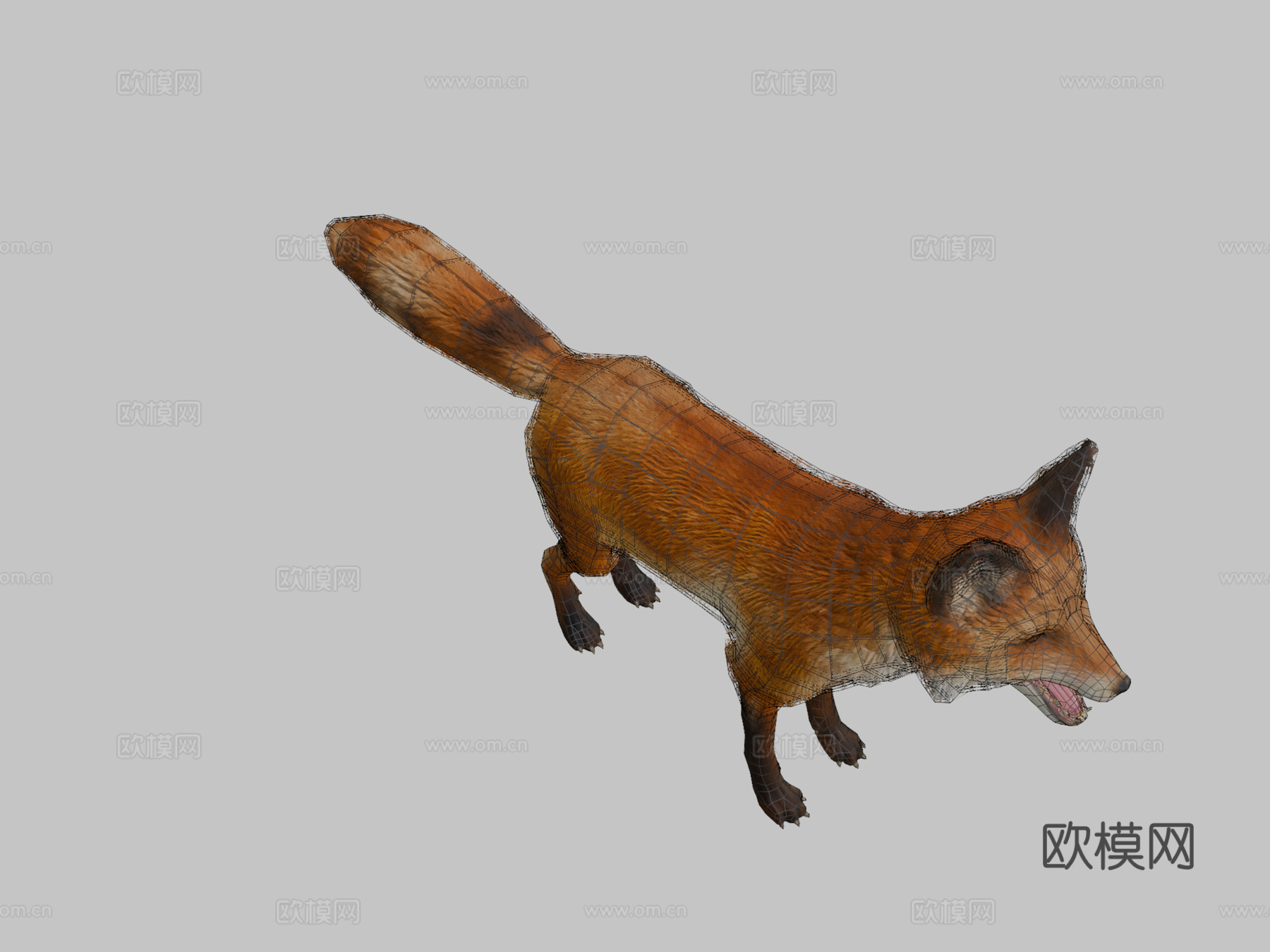 狐狸动画3d模型