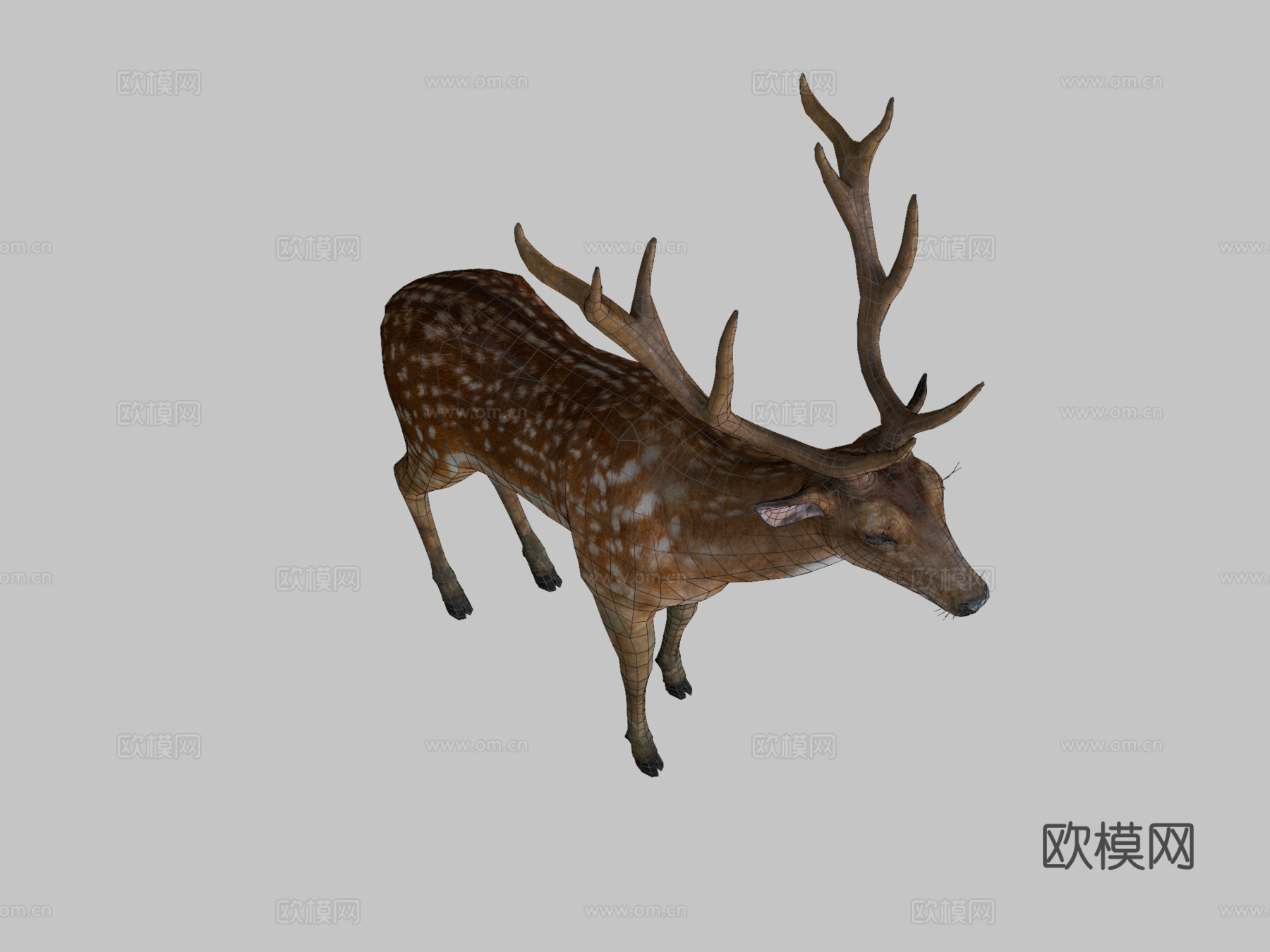 雄鹿3d模型