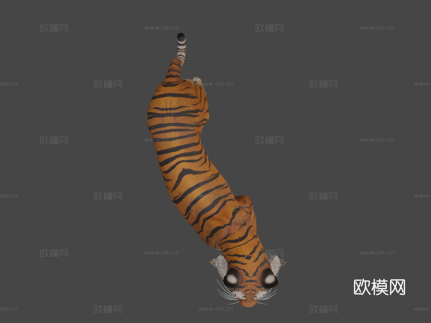 孟加拉虎3d模型