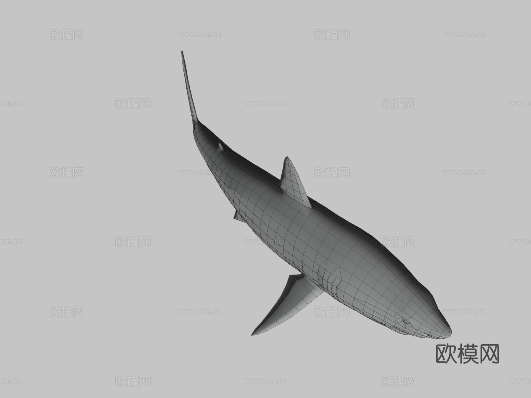 大白鲨3d模型