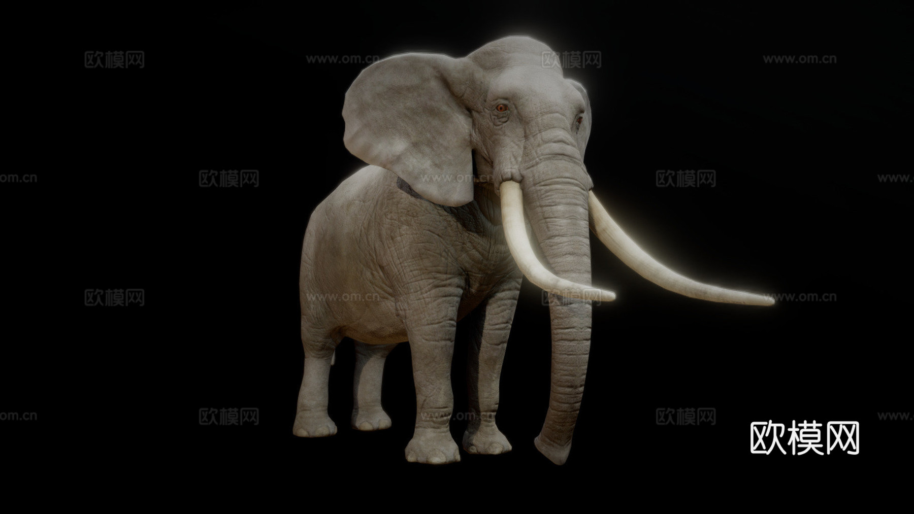 大象动画3d模型