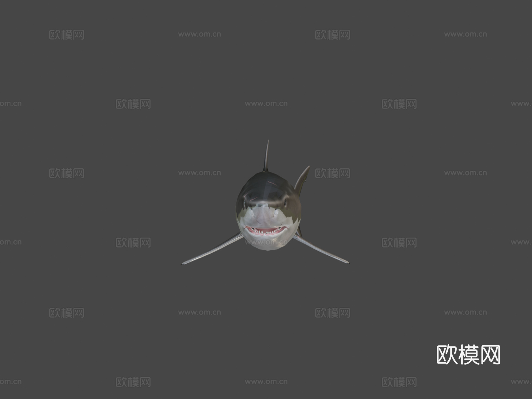 大白鲨3d模型
