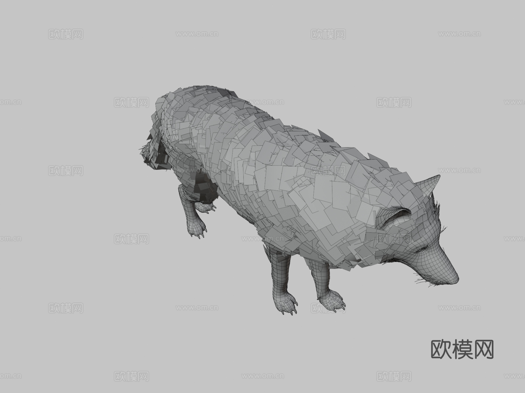 真实狼3d模型