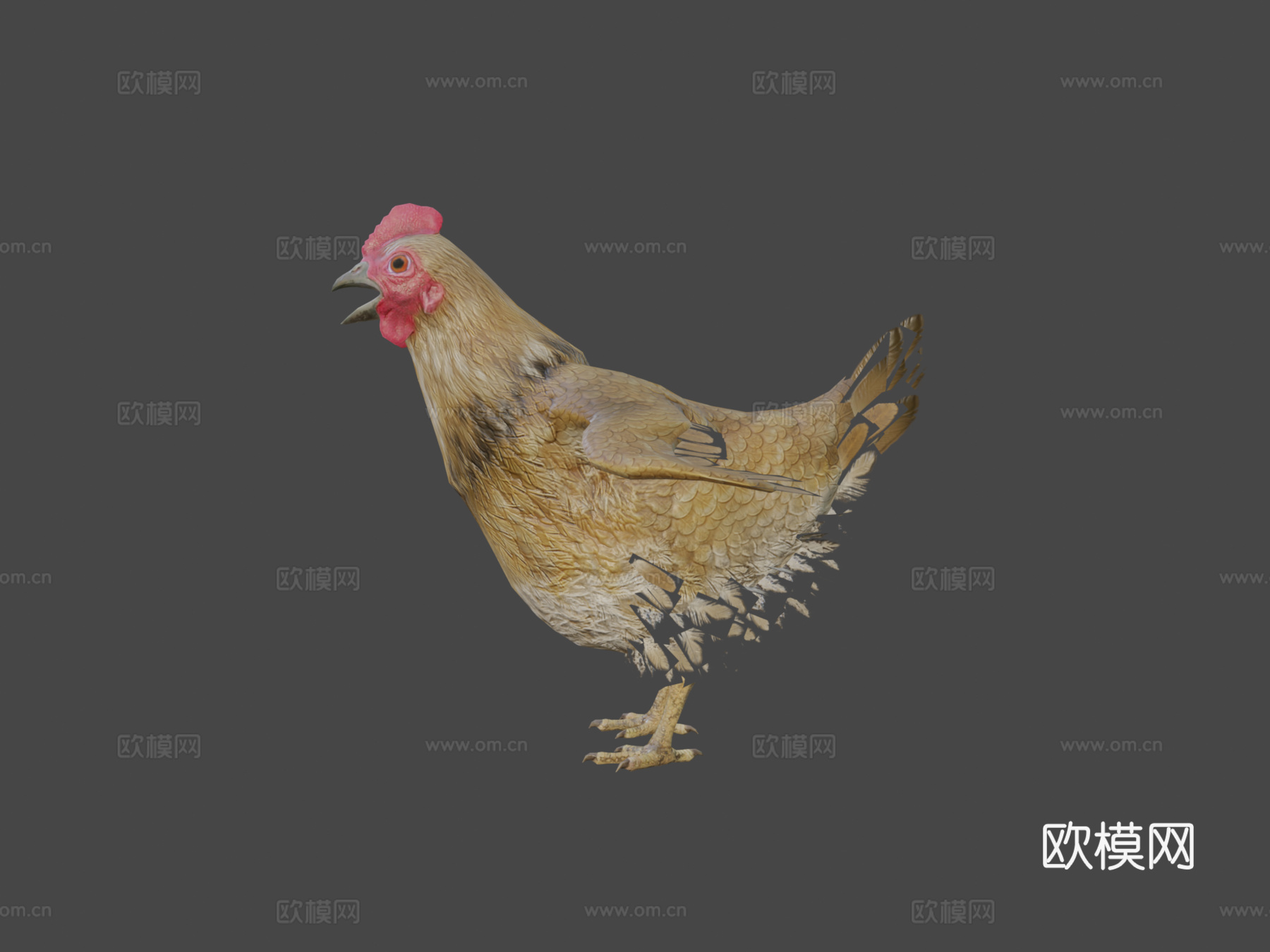 小鸡动画3d模型