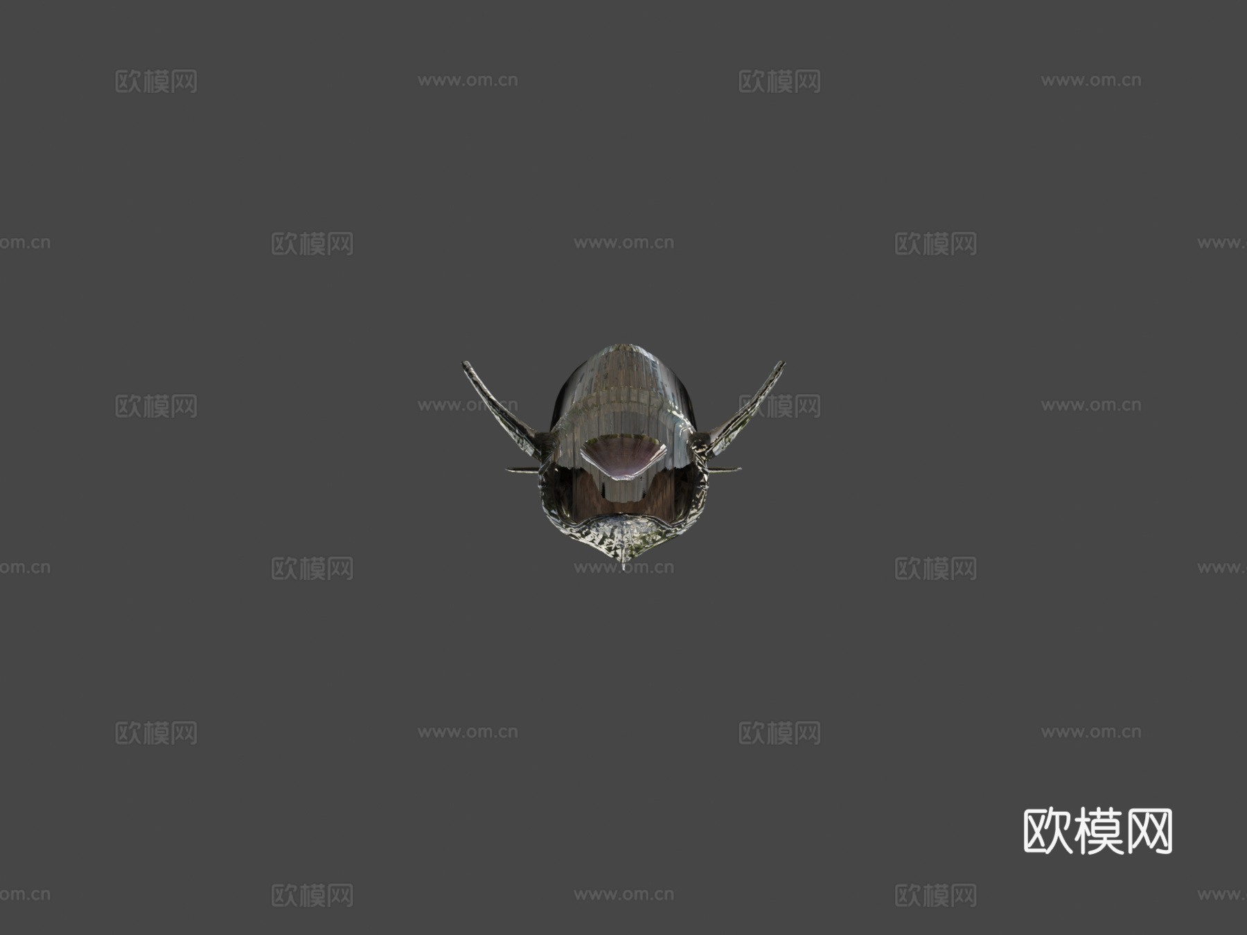 座头鲸3d模型