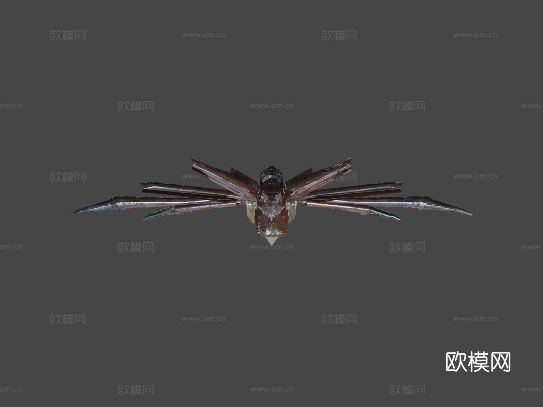 动画龙三种动作循环3d模型