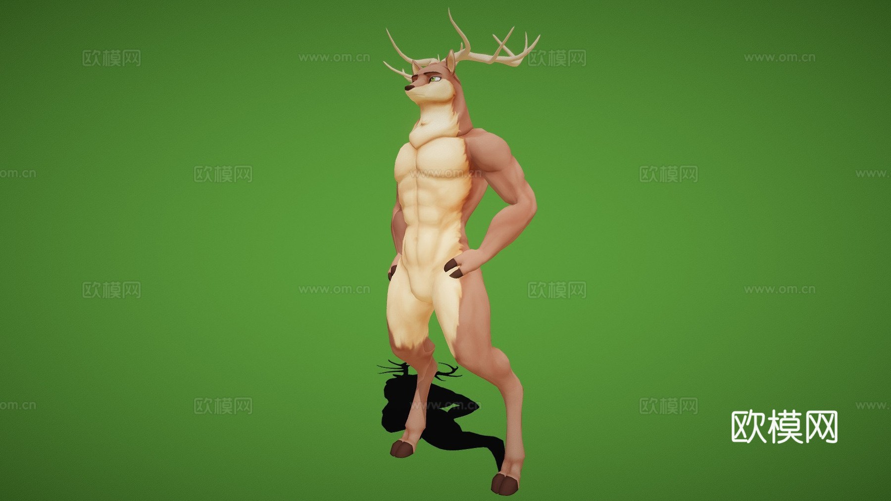 塔里克3d模型