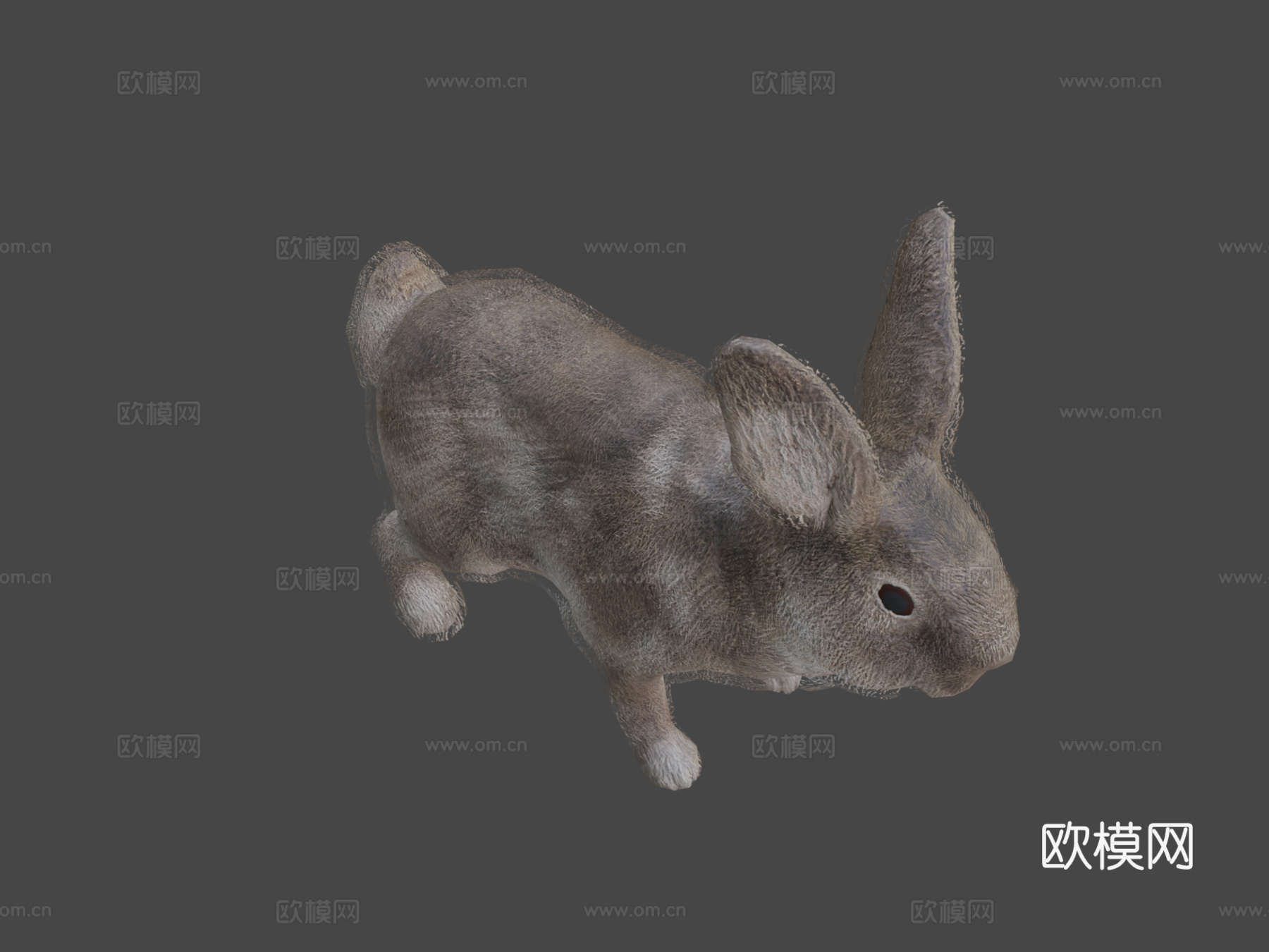 兔子动画3d模型