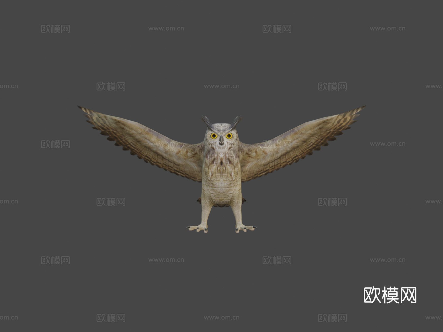 大角鸮动画3d模型