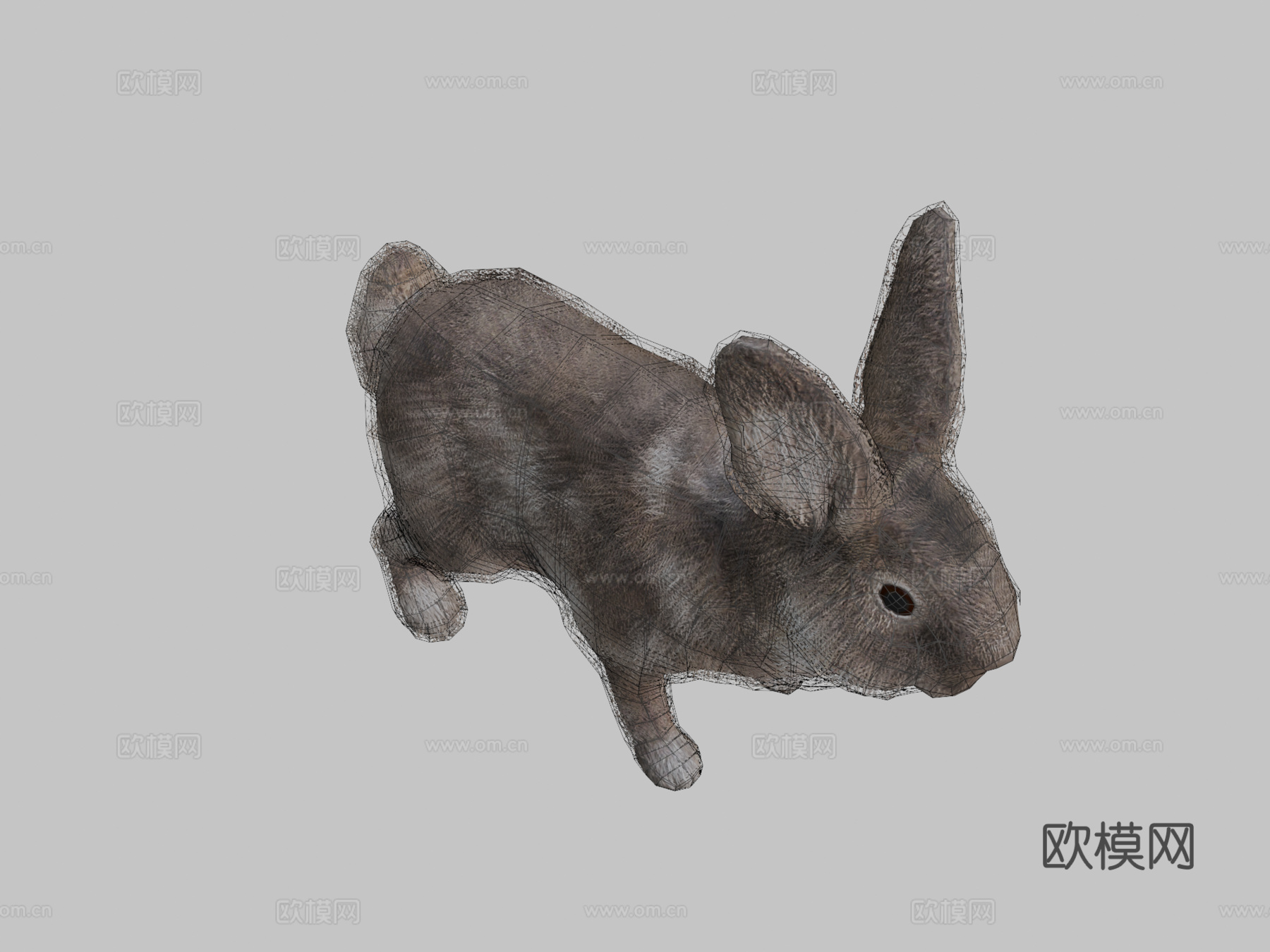兔子动画3d模型