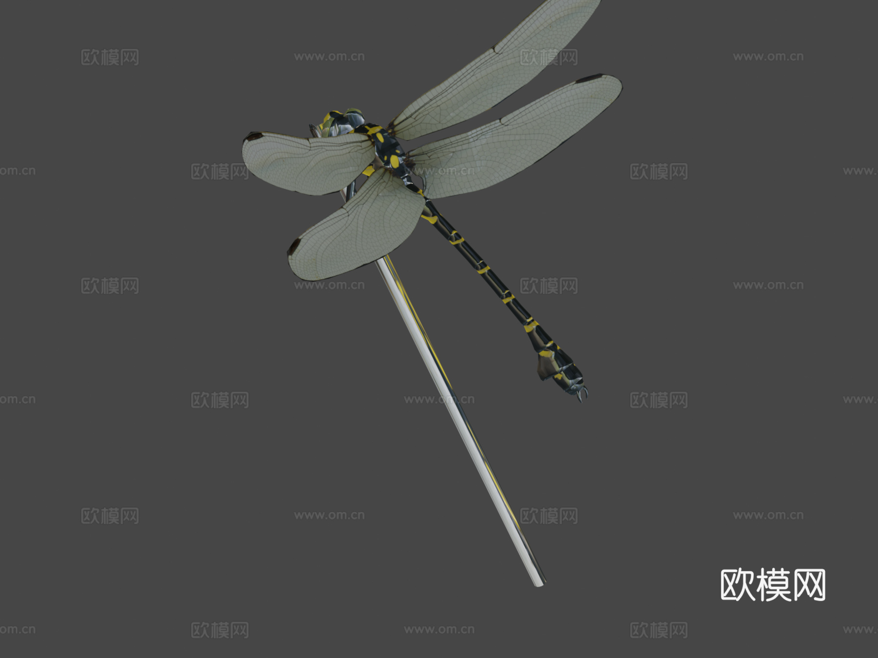 动画蜻蜓3d模型