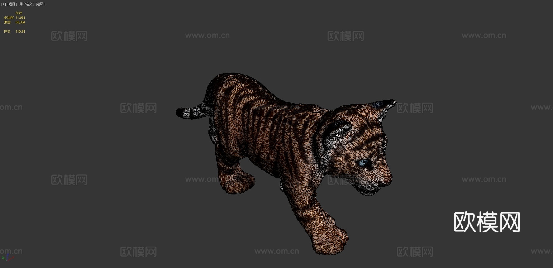 迷你虎崽3d模型