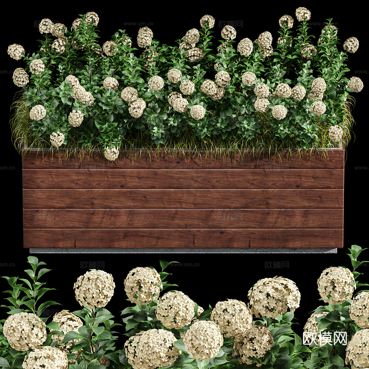 植物箱 花箱3d模型
