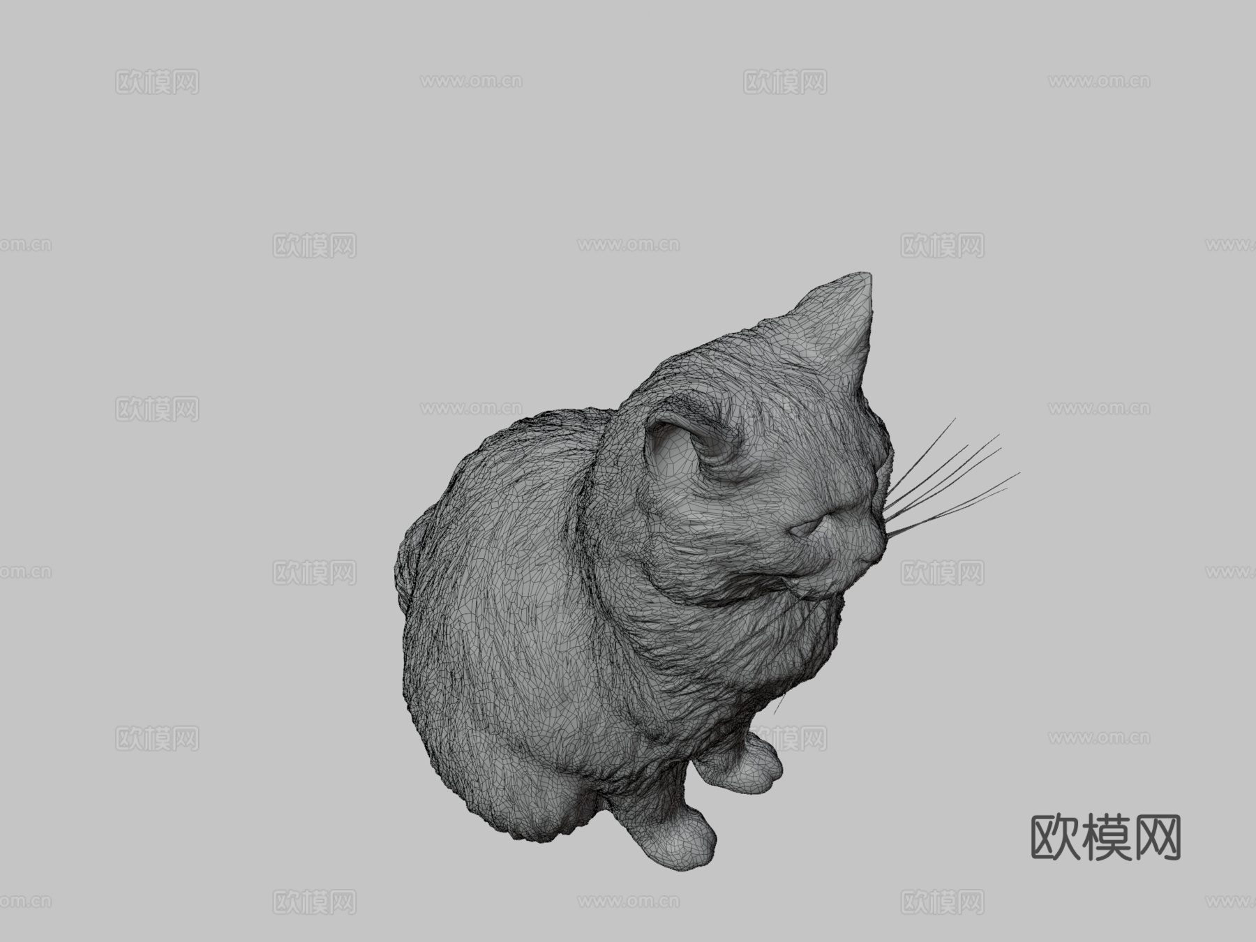 蓬松猫153d模型