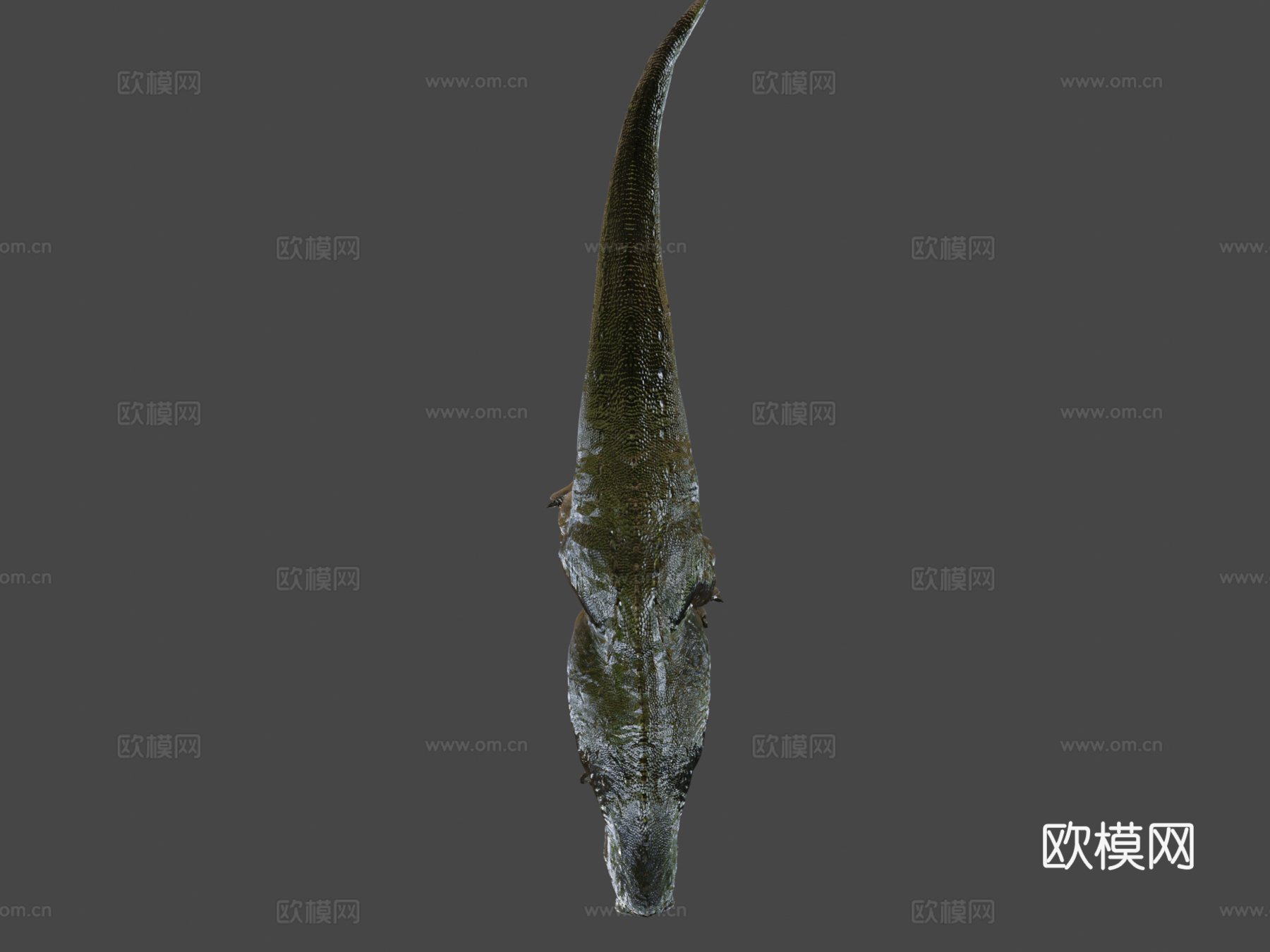特暴龙3d模型