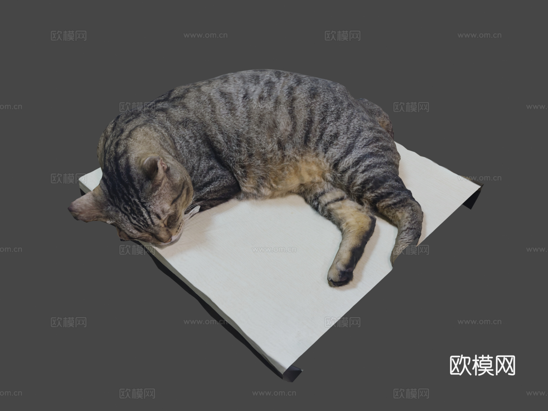 桌上睡猫-3D扫描3d模型