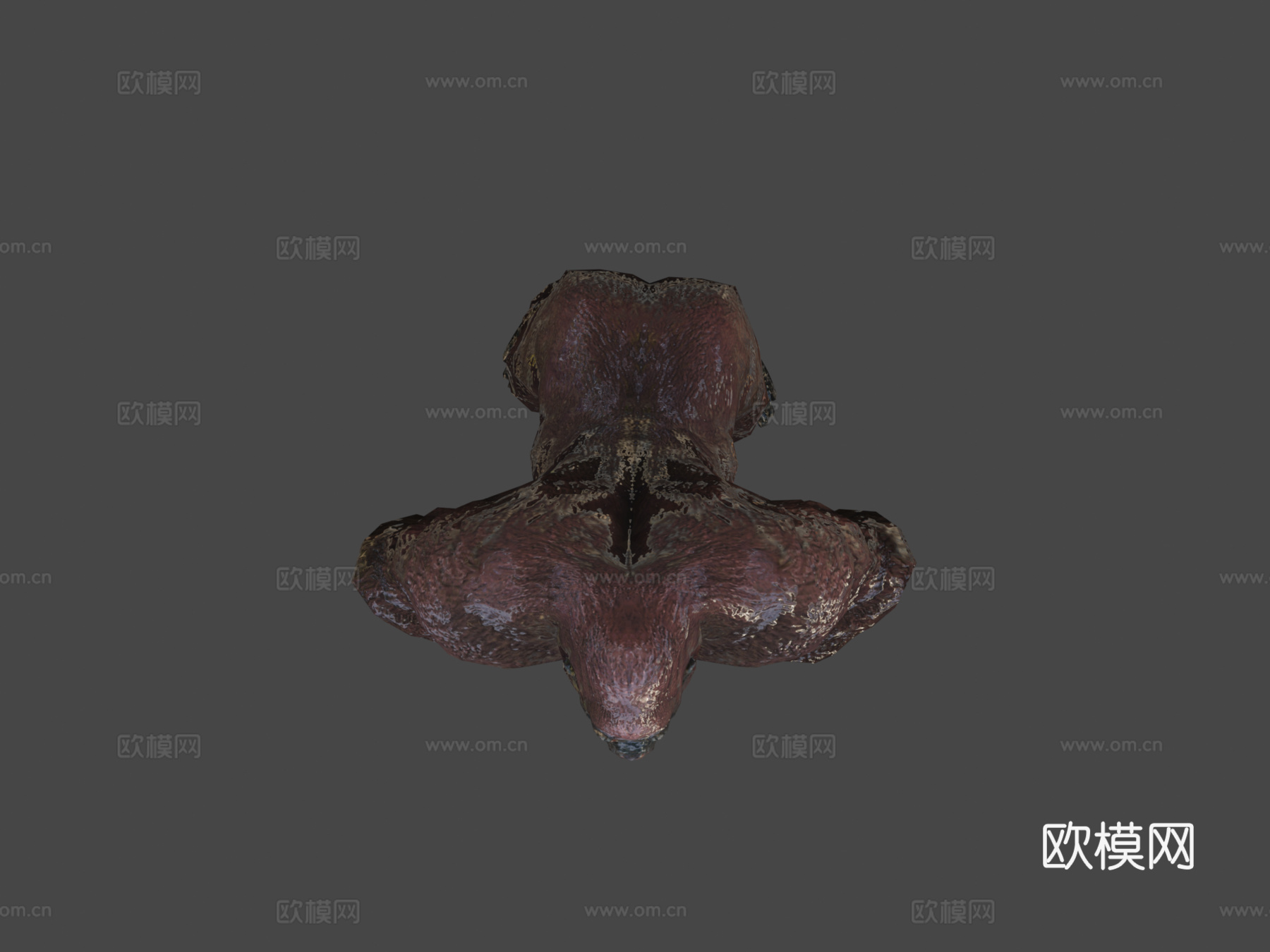 金刚王-枪派冒险3d模型