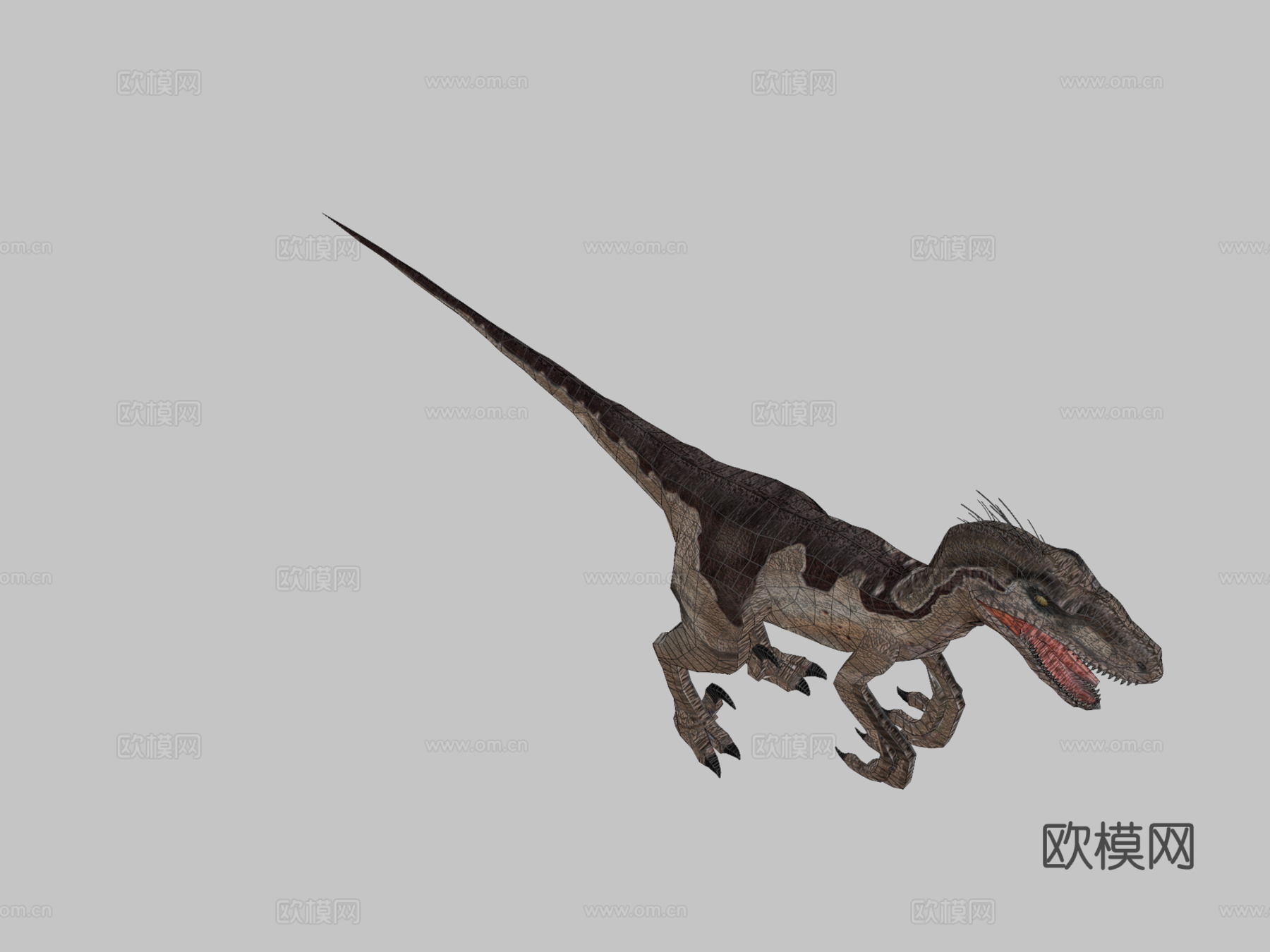 迅猛龙[极低多边形]3d模型