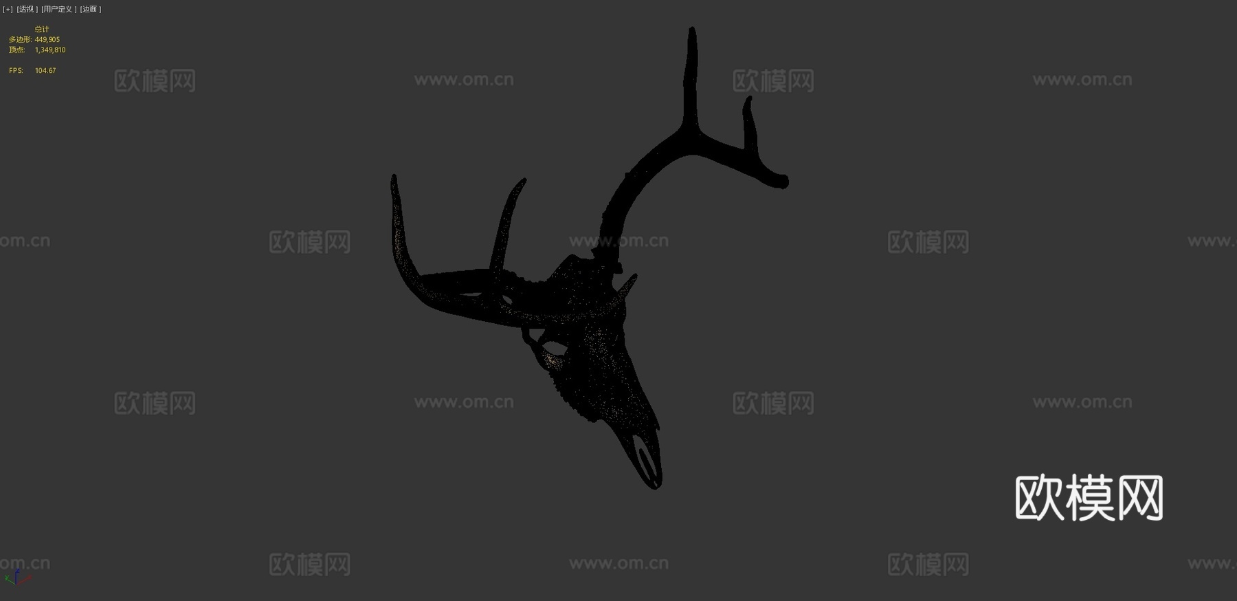 带鹿角白尾鹿头骨3d模型
