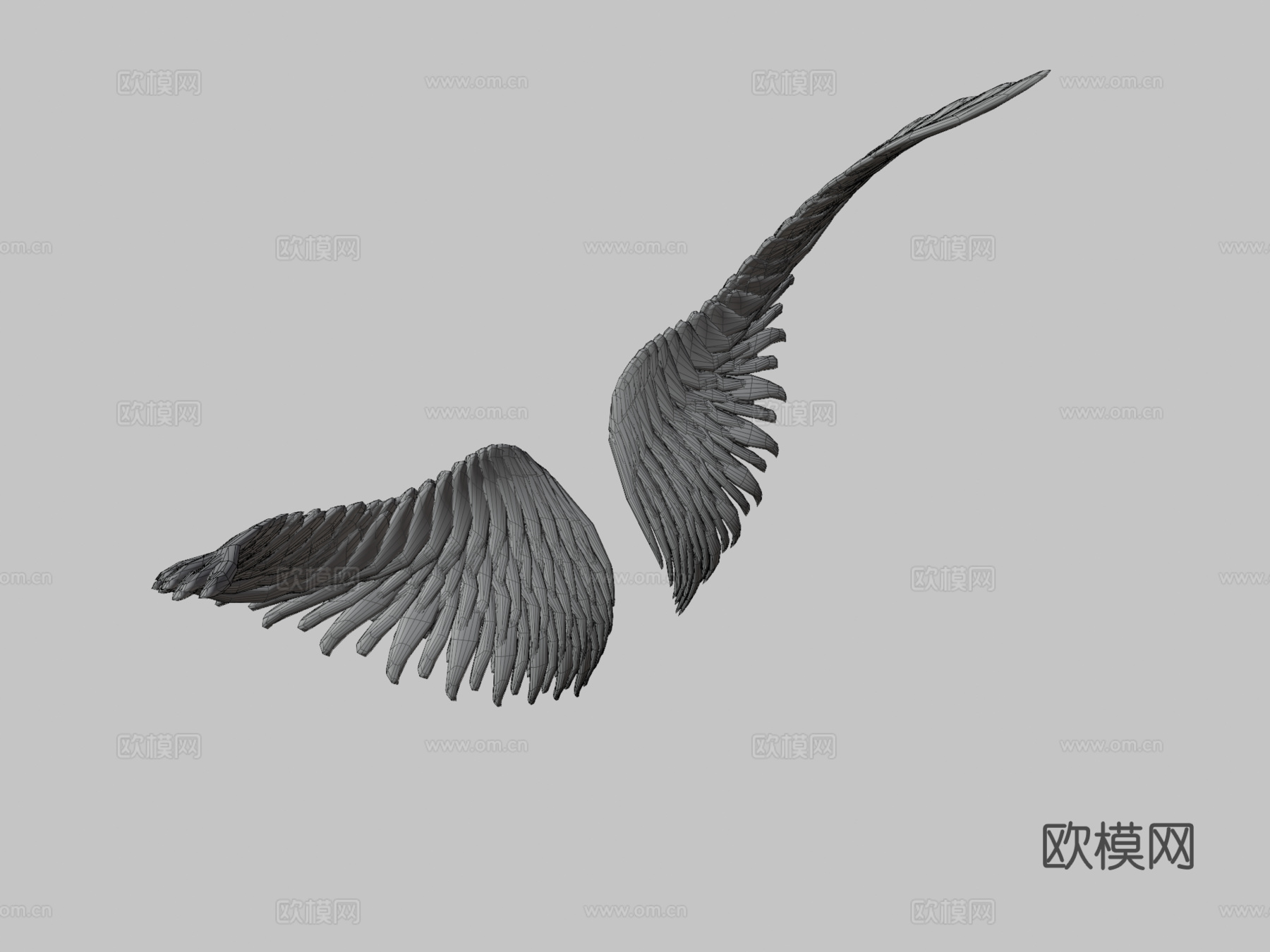 翅膀3d模型