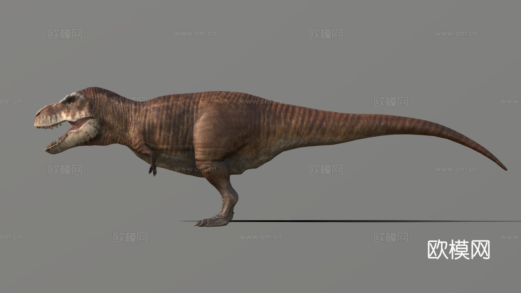 史前星球-霸王龙模型3d模型