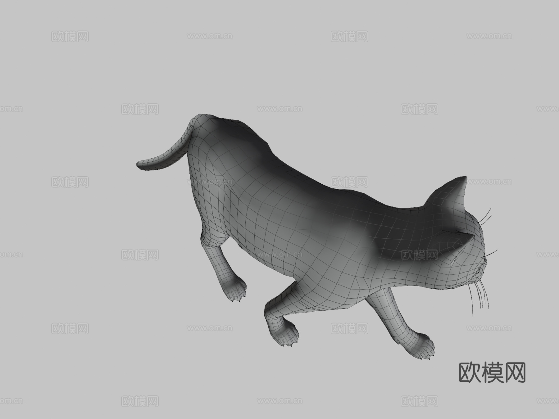 猫的所有动画3d模型