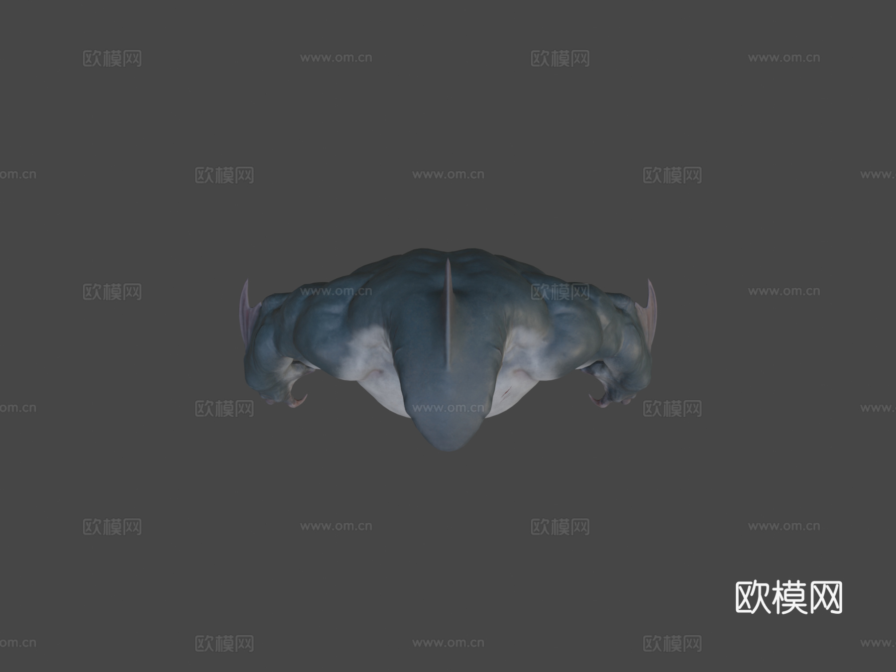 鲨鱼人3d模型