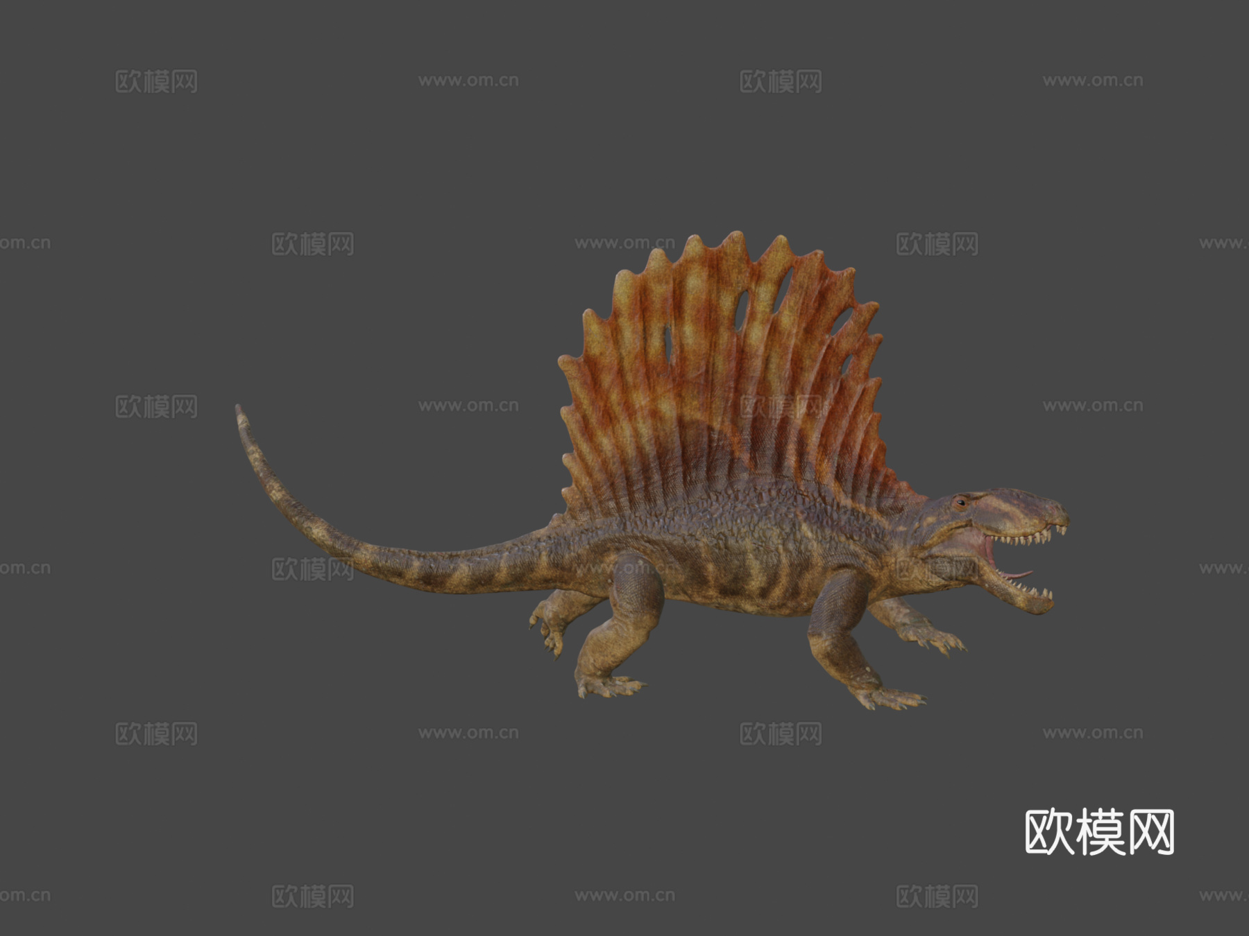 异齿龙3d模型