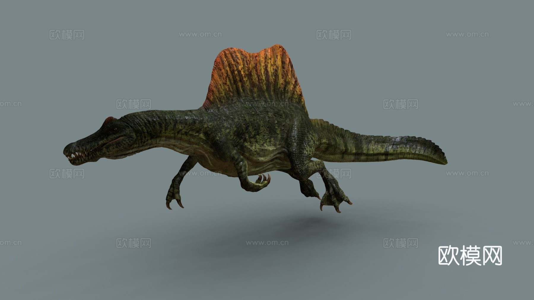 棘龙3d模型